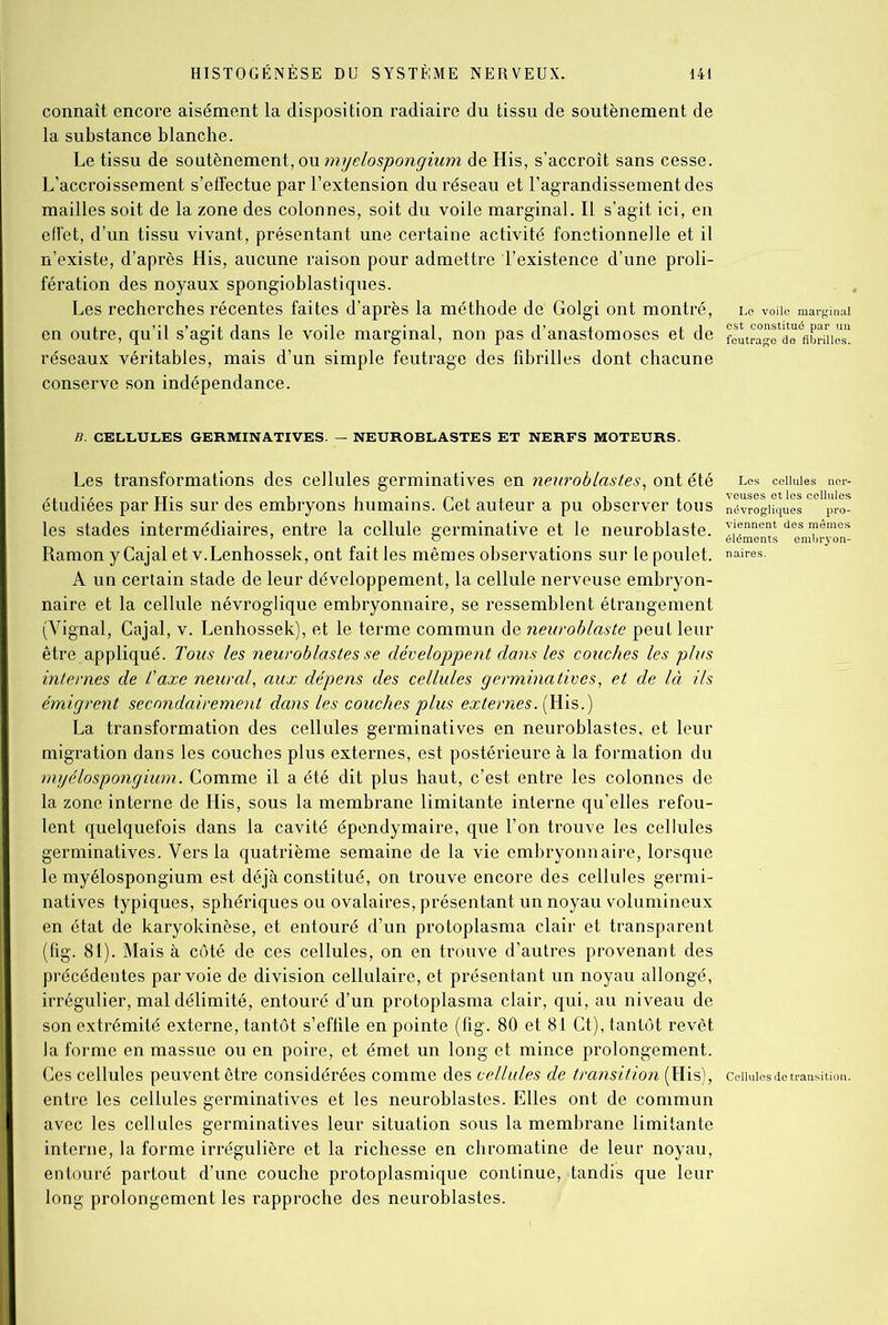 connaît encore aisément la disposition radiaire du tissu de soutènement de la substance blanche. Le tissu de soutènement, ou myelospongium de His, s’accroît sans cesse. L’accroissement s’effectue par l’extension du réseau et l’agrandissement des mailles soit de la zone des colonnes, soit du voile marginal. Il s’agit ici, en effet, d’un tissu vivant, présentant une certaine activité fonctionnelle et il n’existe, d’après His, aucune raison pour admettre l’existence d’une proli- fération des noyaux spongioblastiques. Les recherches récentes faites d’après la méthode de' Golgi ont montré, Le voile marginal en outre, qu’il s’agit dans le voile marginal, non pas d’anastomoses et de feutragfarfibrUiS réseaux véritables, mais d’un simple feutrage des fibrilles dont chacune conserve son indépendance. B. CELLULES GERMINATIVES. — NEUROBLASTES ET NERFS MOTEURS. Les transformations des cellules germinatives en neuroblastes, ont été étudiées par His sur des embryons humains. Cet auteur a pu observer tous les stades intermédiaires, entre la cellule germinative et le neuroblaste. RamonyCajal et v.Lenhossek, ont fait les mêmes observations sur le poulet. A un certain stade de leur développement, la cellule nerveuse embryon- naire et la cellule névroglique embryonnaire, se ressemblent étrangement (Yignal, Cajal, v. Lenhossek), et le terme commun de neuroblaste peut leur être appliqué. Tous les neuroblastes se développent dans les couches les plus internes de Taxe neural, aux dépens des cellules germinatives, et de là ils émigrent secondairement dans les couches plus externes. (His.) La transformation des cellules germinatives en neuroblastes, et leur migration dans les couches plus externes, est postérieure à la formation du myélospongium. Comme il a été dit plus haut, c’est entre les colonnes de la zone interne de His, sous la membrane limitante interne qu’elles refou- lent quelquefois dans la cavité épendymaire, que l’on trouve les cellules germinatives. Vers la quatrième semaine de la vie embryonnaire, lorsque le myélospongium est déjà constitué, on trouve encore des cellules germi- natives typiques, sphériques ou ovalaires, présentant un noyau volumineux en état de karyokinèse, et entouré d’un protoplasma clair et transparent (fig. 81). Mais à côté de ces cellules, on en trouve d’autres provenant des précédentes par voie de division cellulaire, et présentant un noyau allongé, irrégulier, mal délimité, entouré d’un protoplasma clair, qui, au niveau de son extrémité externe, tantôt s’effile en pointe (fig. 80 et 81 Ct), tantôt revêt la forme en massue ou en poire, et émet un long et mince prolongement. Ces cellules peuvent être considérées comme des cellules de transition (His), entre les cellules germinatives et les neuroblastes. Elles ont de commun avec les cellules germinatives leur situation sous la membrane limitante interne, la forme irrégulière et la richesse en chromatine de leur noyau, entouré partout d’une couche protoplasmique continue, tandis que leur long prolongement les rapproche des neuroblastes. veuses et les cellules névrogliques pro- viennent des mêmes éléments embryon- Cellules de transition.