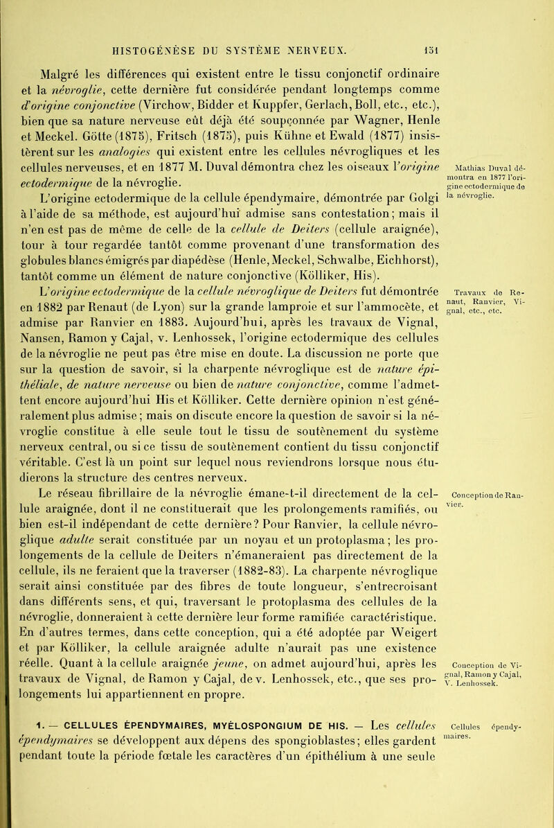 Malgré les différences qui existent entre le tissu conjonctif ordinaire et la névroglie, cette dernière fut considérée pendant longtemps comme d'origine conjonctive (Virchow, Bidder et Kuppfer, Gerlach, Boll, etc., etc.), bien que sa nature nerveuse eût déjà été soupçonnée par Wagner, Henle et Meckel. Gôtte (1878), Fritsch (1878), puis Kühne et Ewald (1877) insis- tèrent sur les analogies qui existent entre les cellules névrogliques et les cellules nerveuses, et en 1877 M. Duval démontra chez les oiseaux Y origine ectodermique de la névroglie. L’origine ectodermique de la cellule épendymaire, démontrée par Golgi à l’aide de sa méthode, est aujourd’hui admise sans contestation; mais il n’en est pas de meme de celle de la cellule de Deiters (cellule araignée), tour à tour regardée tantôt comme provenant d’une transformation des globules blancs émigrés par diapédèse (Henle, Meckel, Schwalbe, Eichhorst), tantôt comme un élément de nature conjonctive (Kôlliker, His). L'origine ectodermique de la cellule névroglique de Deiters fut démontrée en 1882 par Renaut (de Lyon) sur la grande lamproie et sur l’ammocète, et admise par Ranvier en 1883. Aujourd’hui, après les travaux de Vignal, Nansen, Ramon y Cajal, v. Lenhossek, l’origine ectodermique des cellules de la névroglie ne peut pas être mise en doute. La discussion ne porte que sur la question de savoir, si la charpente névroglique est de nature épi- théliale, de nature nerveuse ou bien de nature conjonctive, comme l’admet- tent encore aujourd’hui His et Kôlliker. Cette dernière opinion n’est géné- ralement plus admise ; mais on discute encore la question de savoir si la né- vroglie constitue à elle seule tout le tissu de soutènement du système nerveux central, ou si ce tissu de soutènement contient du tissu conjonctif véritable. C’est là un point sur lequel nous reviendrons lorsque nous étu- dierons la structure des centres nerveux. Le réseau fibrillaire de la névroglie émane-t-il directement de la cel- lule araignée, dont il ne constituerait que les prolongements ramifiés, ou bien est-il indépendant de cette dernière? Pour Ranvier, la cellule névro- glique adulte serait constituée par un noyau et un protoplasma ; les pro- longements de la cellule de Deiters n’émaneraient pas directement de la cellule, ils ne feraient que la traverser (1882-83). La charpente névroglique serait ainsi constituée par des fibres de toute longueur, s’entrecroisant dans différents sens, et qui, traversant le protoplasma des cellules de la névroglie, donneraient à cette dernière leur forme ramifiée caractéristique. En d’autres termes, dans cette conception, qui a été adoptée par Weigert et par Kôlliker, la cellule araignée adulte n’aurait pas une existence réelle. Quant à la cellule araignée jeune, on admet aujourd’hui, après les travaux de Vignal, de Ramon y Cajal, dev. Lenhossek, etc., que ses pro- longements lui appartiennent en propre. Mathias Duval dé- montra en 1877 l’ori- gine ectodermique de Travaux de Re- naut, Ranvier, Vi- Conoeption de Ran- Conception de Vi- gnal, Ramon y Cajal, 1.— CELLULES ÉPENDYMAIRES, MYÉLOSPONGIUM DE HIS. - Les Cellules Cellules épendy- épendymaires se développent aux dépens des spongioblastes ; elles gardent maires‘ pendant toute la période fœtale les caractères d’un épithélium à une seule