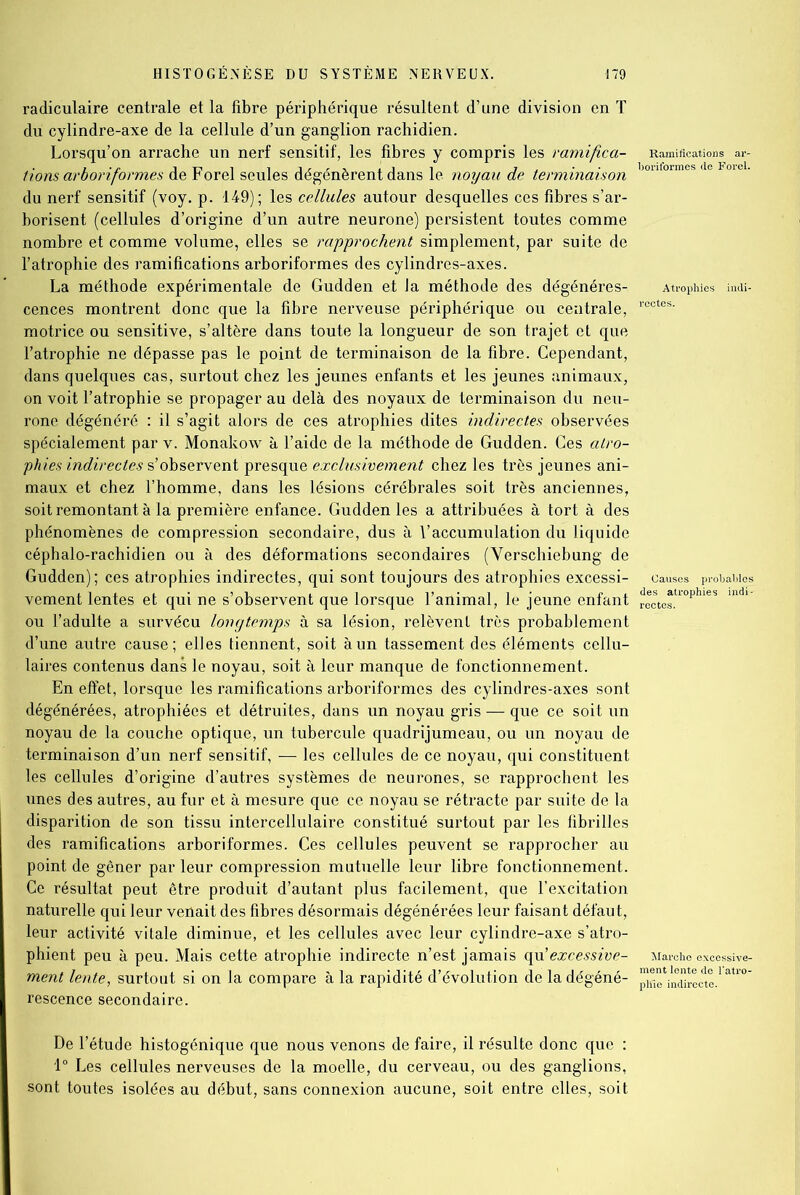 radiculaire centrale et la fibre périphérique résultent d’une division en T du cylindre-axe de la cellule d’un ganglion rachidien. Lorsqu’on arrache un nerf sensitif, les fibres y compris les ramifica- tions arboriformes de Forel seules dégénèrent dans le noyau de terminaison du nerf sensitif (voy. p. 149); les cellules autour desquelles ces fibres s’ar- borisent (cellules d’origine d’un autre neurone) persistent toutes comme nombre et comme volume, elles se rapprochent simplement, par suite de l’atrophie des ramifications arboriformes des cylindres-axes. La méthode expérimentale de Gudden et Ja méthode des dégénéres- cences montrent donc que la fibre nerveuse périphérique ou centrale, motrice ou sensitive, s’altère dans toute la longueur de son trajet et que l'atrophie ne dépasse pas le point de terminaison de la fibre. Cependant, dans quelques cas, surtout chez les jeunes enfants et les jeunes animaux, on voit l’atrophie se propager au delà des noyaux de terminaison du neu- rone dégénéré : il s’agit alors de ces atrophies dites indirectes observées spécialement par v. Monakow à l’aide de la méthode de Gudden. Ces atro- phies indirectes s’observent presque exclusivement chez les très jeunes ani- maux et chez l’homme, dans les lésions cérébrales soit très anciennes, soit remontant à la première enfance. Gudden les a attribuées à tort à des phénomènes de compression secondaire, dus à l’accumulation du liquide céphalo-rachidien ou à des déformations secondaires (Verschiebung de Gudden); ces atrophies indirectes, qui sont toujours des atrophies excessi- vement lentes et qui ne s’observent que lorsque l’animal, le jeune enfant ou l’adulte a survécu longtemps à sa lésion, relèvent très probablement d’une autre cause; elles tiennent, soit à un tassement des éléments cellu- laires contenus dans le noyau, soit à leur manque de fonctionnement. En effet, lorsque les ramifications arboriformes des cylindres-axes sont dégénérées, atrophiées et détruites, dans un noyau gris — que ce soit un noyau de la couche optique, un tubercule quadrijumeau, ou un noyau de terminaison d’un nerf sensitif, — les cellules de ce noyau, qui constituent les cellules d’origine d’autres systèmes de neurones, se rapprochent les unes des autres, au fur et à mesure que ce noyau se rétracte par suite de la disparition de son tissu intercellulaire constitué surtout par les fibrilles des ramifications arboriformes. Ces cellules peuvent se rapprocher au point de gêner par leur compression mutuelle leur libre fonctionnement. Ce résultat peut être produit d’autant plus facilement, que l’excitation naturelle qui leur venait des fibres désormais dégénérées leur faisant défaut, leur activité vitale diminue, et les cellules avec leur cylindre-axe s’atro- phient peu à peu. Mais cette atrophie indirecte n’est jamais excessive- ment lente, surtout si on la compare à la rapidité d’évolution de la dégéné- rescence secondaire. boriformes de Forel. Causes probables des atrophies indi- Marche excessive- pKie indirecte. De l’étude histogénique que nous venons de faire, il résulte donc que : 1° Les cellules nerveuses de la moelle, du cerveau, ou des ganglions, sont toutes isolées au début, sans connexion aucune, soit entre elles, soit