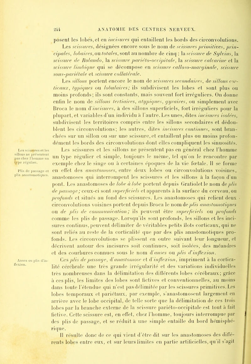 sillons ne présentent pas chez l’homme un type régulier. Plis de passage et plis anastomotiques. Anses ou plis d’in- flexion. posent les lobes, et en incisures qui entaillent les bords des circonvolutions. Les scissures, désignées encore sous le nom de scissures primitives, prin- cipales, lobaires, ou totales, sont au nombre de cinq : la scissure de Sylvius, la scissure de Rolando, la scissure parieto-occipitale, la scissure calcarine et la scissure limbique qui se décompose en scissure calloso-marginale, scissure sous-pariétale et scissure collatérale. Les sillons portent encore le nom de scissures secondaires, de sillons cor- ticaux, typiques ou lobulaires; ils subdivisent les lobes et sont plus ou moins profonds; ils sont constants, mais souvent fort irréguliers. On donne enfin le nom de sillons tertiaires, atypiques, gyraires, ou simplement avec Broca le nom d'incisures, à des sillons superficiels, fort irréguliers pour la plupart, et variables d’un individu à l’autre. Les unes, dites incisures isolées, subdivisent les territoires compris entre les sillons secondaires et dédou- blent les circonvolutions; les autres, dites incisures continues, sont bran- chées sur un sillon ou sur une scissure, et entaillent plus ou moins profon- dément les bords des circonvolutions dont elles compliquent les sinuosités. Les scissures et les sillons ne présentent pas en général chez l’homme un type régulier et simple, toujours Je même, tel qu’on le rencontre par exemple chez le singe ou à certaines époques de la vie fœtale. Il se forme en effet des anastomoses, entre deux lobes ou circonvolutions voisines, anastomoses qui interrompent les scissures et les sillons à la façon d’un pont. Les anastomoses de lobe à lobe portent depuis Gratiolet le nom deplis de passage ; ceux-ci sont superficiels et apparents à la surface du cerveau, ou profonds et situés au fond des scissures. Les anastomoses qui relient deux ■ circonvolutions voisines portent depuis Broca le nom d eplis anastomotiques ou de plis de communication; ils peuvent être superficiels ou profonds comme les plis de passage. Lorsqu’ils sont profonds, les sillons et les inci- sures continus, peuvent délimiter de véritables petits îlots corticaux, qui ne sont reliés au reste de la corticalité que par des plis anastomotiques pro- fonds. Les circonvolutions se plissent en outre suivant leur longueur, et décrivent autour des incisures soit continues, soit isolées, des méandres et des courbures connues sous le nom d'anses ou plis d'inflexion. Ces plis de passage, d’anastomose et d’inflexion, impriment à la cortica- lité cérébrale une très grande irrégularité et des variations individuelles très nombreuses dans la délimitation des différents lobes cérébraux; grâce à ces plis, les limites des lobes sont fictives et conventionnelles, au moins dans toute l’étendue qui n’est pas délimitée par les scissures primitives. Les lobes temporaux et pariétaux, par exemple, s’anastomosent largement en arrière avec le lobe occipital, de telle sorte que la délimitation de ces trois lobes par la branche externe de la scissure pariéto-occipitale est tout à fait fictive. Cette scissure est, en effet, chez l’homme, toujours interrompue par des plis de passage, et se réduit à une simple entaille du bord hémisphé- rique. Il résulte donc de ce qui vient d’être dit sur les anastomoses des diffé- rents lobes entre eux, et sur leurs limites en partie artificielles, qu’il s’agit