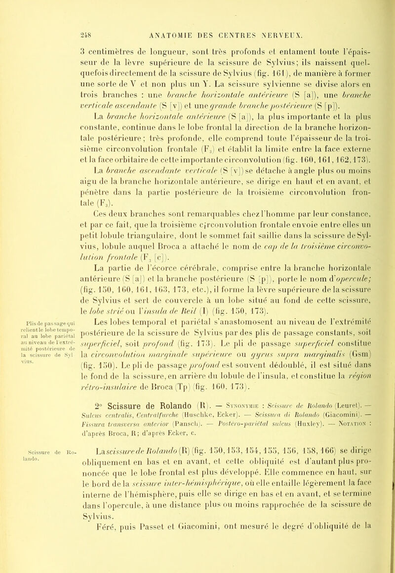 3 centimètres de longueur, sont très profonds et entament toute l’épais- seur de la lèvre supérieure de la scissure de Sylvius; ils naissent quel- quefois directement de la scissure de Sylvius (fig. 161), de manière à former une sorte de Y et non plus un Y. La scissure sylvienne se divise alors en trois branches : une branche horizontale antérieure (S [a]), une branche verticale ascendante (S [v]) et un z grande branche postérieure (S [p]). La branche horizontale antérieure (S [a]), la plus importante et la plus constante, continue dans le lobe frontal la direction de la branche horizon- tale postérieure ; très profonde, elle comprend toute l’épaisseur de la troi- sième circonvolution frontale (F3) et établit la limite entre la face externe et la face orbitaire de cette importante circonvolution (fig. 160,161,162,173). La branche ascendante verticale (S [v])se détache à angle plus ou moins aigu de la branche horizontale antérieure, se dirige en haut et en avant, et pénètre dans la partie postérieure de la troisième circonvolution fron- tale (F3). Ces deux branches sont remarquables chez l’homme par leur constance, et par ce fait, que la troisième circonvolution frontale envoie entre elles un petit lobule triangulaire, dont le sommet fait saillie dans la scissure de Syl- vius, lobule auquel Broca a attaché le nom de cap de la troisième circonvo- lution frontale (F:J [c]). La partie de l’écorce cérébrale, comprise entre la branche horizontale antérieure (S [aj) et la branche postérieure (S [p]), porte le nom d'opercule; (fig. 150, 160,161, 163, 173, etc.), il forme la lèvre supérieure de la scissure de Sylvius et sert de couvercle à un lobe situé au fond de cette scissure, le lobe strié ou 1 ’insula de Reil 11 ) (fig. 150, 173). Les lobes temporal et pariétal s’anastomosent au niveau de l’extrémité postérieure de la scissure de Sylvius par des plis de passage constants, soit superficiel, soit profond (fig. 173). Le pli de passage superficiel constitue la circonvolution marginale supérieure ou gyrus supra marginalis (Gsm) (fig. 150). Le pli de passage profond est souvent dédoublé, il est situé dans le fond de la scissure, en arrière du lobule de l’insula, et constitue la région rétro-insulaire de Broca(Tp) (fig. 160, 173). 2° Scissure de Rolando (R). — Synonymie : Scissure de Rolando (Leuret). — Sulcus centralis, Centralfurche (Huschke, Ecker). — Scissura di Rolando (Giacominij. — Fissura transversa anterior (Pansch). — Postéro-pariélal sulcus (Huxley). — Notation : d’après Broca, R; d’après Ecker, c. lÉpissurede Rolando (R) (fig. 150,153,154,155, 156, 158,166) se dirige obliquement en bas et en avant, et cette obliquité est d’autant plus pro- noncée que le lobe frontal est plus développé. Elle commence en haut, sur le bord delà scissure inter-hémisphérique, où elle entaille légèrement la face interne de l’hémisphère, puis elle se dirige en bas et en avant, et se termine dans l’opercule, à une distance plus ou moins rapprochée de la scissure de Sylvius. Féré, puis Passet et Giacomini, ont mesuré le degré d’obliquité de la