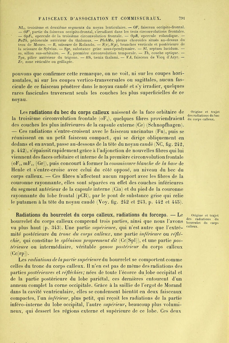 NLi, troisième et deuxième segments du noyau lenticulaire. — OF, faisceau occipito-frontal. — OF', partie du faisceau occipito-frontal, s’irradiant dans les trois circonvolutions frontales. — O/5F3, opercule de la troisième circonvolution frontale. — OpR, opercule rolandique. — PaTh, pédoncule antérieur du thalamus. — PlchMo, plexus choroïdes situés au-dessus du trou de Monro. — R, scissure de Rolando. — S(v), S(p), branches verticale et postérieure de la scissure de Sylvius. — Sge, substance grise sous-épendymaire. — SI, septum lucidum. — so, sillon sus-orbitaire. — Tt, première circonvolution temporale. — Th, couche optique. — Tqa, pilier antérieur du trigone. — tth, tænia thalami. — VA, faisceau de Vicq d’Azyr. — Zr, zone réticulée ou grillagée. pouvons que confirmer cette remarque, on ne voit, ni sur les coupes hori- zontales, ni sur les coupes vertico-transversales ou sagittales, aucun fas- cicule de ce faisceau pénétrer dans le noyau caudé et s’y irradier, quelques rares fascicules traversent seuls les couches les plus superficielles de ce noyau. Les radiations du bec du corps calleux naissent de la face orbitaire de dtr^et la troisième circonvolution frontale (oFs), quelques fibres proviendraient du corps calleux, des couches les plus inférieures de la capsule externe (Ce) (Schnopfhagen). — Ces radiations s’entre-croisent avec le faisceau uncinatus (Fu), puis se réunissent en un petit faisceau compact, qui se dirige obliquement en dedans et en avant, passe au-dessous de la tête du noyau caudé (NC, fig. 242, p. 442), s’épaissit rapidement grâce à l’adjonction de nouvelles fibres qui lui viennent des faces orbitaire et interne de la première circonvolution frontale (oF,, mF,, [Gr]), puis concourt à former la commissure blanche de la base de Henle et s’entre-croise avec celui du côté opposé, au niveau du bec du corps calleux. — Ces fibres n’affectent aucun rapport avec les fibres de la couronne rayonnante, elles sont séparées en effet des couches inférieures du segment antérieur de la capsule interne (Cia) et du pied de la couronne rayonnante du lobe frontal (pGR), par le pont de substance grise qui relie le putamen à la tête du noyau caudé (Voy. fig. 242 et 243, p. 442 et 443). Radiations du bourrelet du corps calleux, radiations du forceps. — Le origine et trajet bourrelet du corps calleux comprend trois parties, ainsi que nous l’avons bourreretadunSCorps vu plus haut (p. 343). Une partie supérieure, qui n’est autre que l’extré- caIleux- mité postérieure du tronc du corps calleux, une partie inférieure ou réflé- chie, qui constitue le splénium proprement dit (Ce[Spl]), et une partie pos- térieure ou intermédiaire, véritable genou postérieur du corps calleux (Cc[rp]). Les radiations de la partie supérieure du bourrelet se comportent comme celles du tronc du corps calleux. Il n’en est pas de même des radiations des parties postérieures et réfléchies; nées de toute l’écorce du lobe occipital et de la partie postérieure du lobe pariétal, ces dernières entourent d’un anneau complet la corne occipitale. Grâce à la saillie de l’ergot de Morand dans la cavité ventriculaire, elles se condensent bientôt en deux faisceaux compactes, l’un inférieur, plus petit, qui reçoit les radiations de la partie inféro-interne du lobe occipital, l’autre supérieur, beaucoup plus volumi- neux, qui dessert les régions externe et supérieure de ce lobe. Ces deux