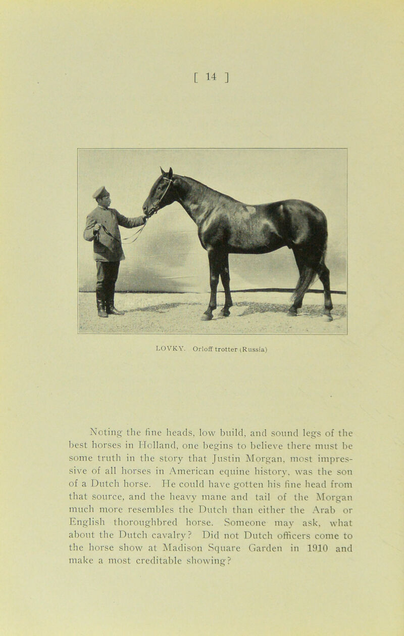 LOVKY. Orloff trotter (Russia) Noting the fine heads, low build, and sound legs of the best horses in Holland, one begins to believe there must be some truth in the story that Justin Morgan, most impres- sive of all horses in American equine history, was the son of a Dutch horse. He could have gotten his fine head from that source, and the heavy mane and tail of the Morgan much more resembles the Dutch than either the Arab or English thoroughbred horse. Someone may ask. what about the Dutch cavalry? Did not Dutch officers come to the horse show at Madison Square Garden in IfilO and make a most creditable showing?