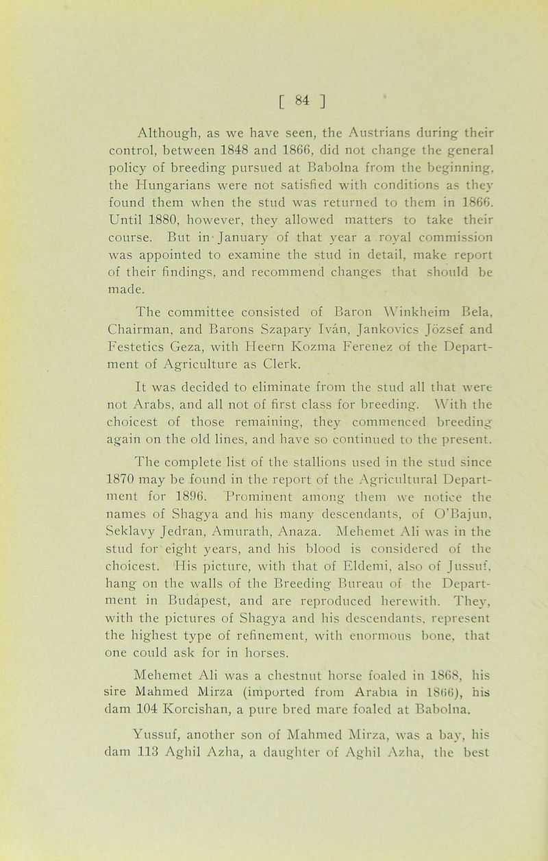 Although, as we have seen, the Austrians during their control, between 1848 and 1866, did not change the general policy of breeding pursued at Babolna from the beginning, the Hungarians were not satisfied with conditions as they found them when the stud was returned to them in 1866. Until 1880, however, they allowed matters to take their course. But in January of that year a royal commission was appointed to examine the stud in detail, make report of their findings, and recommend changes that should be made. The committee consisted of Baron Winkheim Bela. Chairman, and Barons Szapary Ivan, Jankovics Jozsef and Festetics Geza, with Heern Kozina Ferenez of the Depart- ment of Agriculture as Clerk. It was decided to eliminate from the stud all that were not Arabs, and all not of first class for breeding. With the choicest of those remaining, they commenced breeding again on the old lines, and have so continued to the present. The complete list of the stallions used in the stud since 1870 may be found in the report of the Agricultural Depart- ment for 1896. Prominent among them we notice the names of Shagya and Ids many descendants, of O'Bajun, Seklavy Jedran, Amurath, Anaza. Mehemet Ali was in the stud for eight years, and his blood is considered of the choicest. His picture, with that of Eldemi. also of Jussuf, hang on the walls of the Breeding Bureau of the Depart- ment in Budapest, and are reproduced herewith. They, with the pictures of Shagya and his descendants, represent the highest type of refinement, with enormous bone, that one could ask for in horses. Mehemet Ali was a chestnut horse foaled in 1868, his sire Mahmed Mirza (imported from Arabia in 18(i(5), his dam 104 Korcishan, a pure bred mare foaled at Babolna. Yussuf, another son of Mahmed Mirza, was a bay, his dam 113 Aghil Azlia, a daughter of Aghil Azha, the best