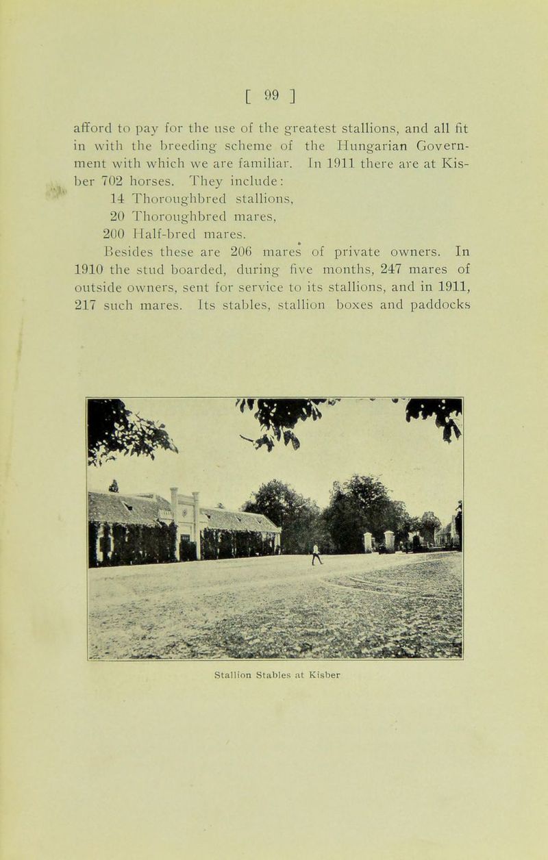 afford to pay for the use of the greatest stallions, and all fit in with the breeding scheme of the Hungarian Govern- ment with which we are familiar. In 1911 there are at Kis- ber 702 horses. They include: 14 Thoroughbred stallions, 20 Thoroughbred mares, 200 Half-bred mares. * Besides these are 206 mares of private owners. In 1910 the stud boarded, during five months, 247 mares of outside owners, sent for service to its stallions, and in 1911, 217 such mares. Its stables, stallion boxes and paddocks Stallion Stables at Kisber