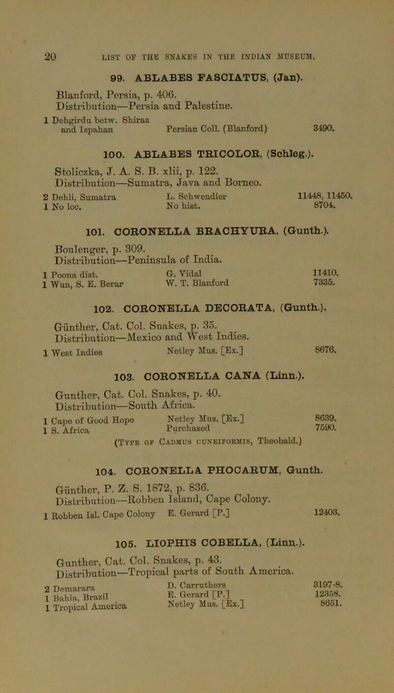 99. ABLABES FASCIATUS, (Jan). Blanford, Persia, p. 406. Distribution—Persia and Palestine. 1 Dehgirdu betw. Shiraz and Ispahan Persian Coll. (Blanford) 3490. 100. ABLABES TRICOLOR, (Schleg.). Stoliczka, J. A. S. B. xlii, p. 122. Distribution—Sumatra, Java and Borneo. 2 Dehli, Sumatra L. Schwendlor 11448, 11450. 1 No loc. No hist. 8704. 101. CORONELLA BRACHYURA, (Gunth.). Boulenger, p. 309. Distribution—Peninsula of India. 1 Poona dist. G. Yidal 11410. 1 Wun, S. E. Berar W. T. Blanford 7335. 102. CORONELLA DECORATA, (Gunth.). Gunther, Cat. Col. Snakes, p. 35. Distribution—Mexico and West Indies. 1 West Indies Netley Mas. [Ex.] 8676. 103. CORONELLA CANA (Linn.). Gunther, Cat. Col. Snakes, p. 40. Distribution—South Africa. 1 Cape of Good Hope Netley Mas. [Ex.] 8639. 1 S. Africa Purchased 7590. (Type of Cadmus cuneiformis, Theobald.) ♦ 104. CORONELLA PHOCARUM, Gunth. Gunther, P. Z. S. 1872, p. 836. Distribution—Robbcn Island, Cape Colony. 1 Robben Isl. Cape Colony E. Gerard [P.] 12403. 105. LIOPHIS COBELLA, (Linn.). Gunther, Cat. Col. Snakes, p. 43. Distribution—Tropical parts of South America. 2 Demarara 1 Bahia, Brazil 1 Tropical America D. Carruthers E. Gerard [P.] Netley Mus. [Ex.] 3197-8. 12358. 8651.