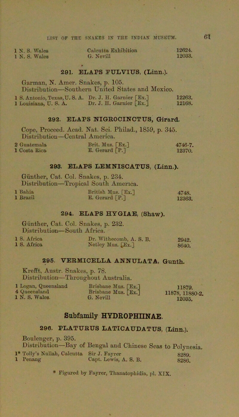 1 N. S. Wales Calcutta Exhibition 12624. 1 N. S. Wales G. Nevill 12033. * 291. ELAPS FULVIUS, (Linn.). Garman, N. Amer. Snakes, p. 105. Distribution—Southern United States and Mexico. 1 S. Antonio, Texas,U. S. A. Dr. J. H. Gamier [Ex.] 12263. 1 Louisiana, U. S. A. Dr. J. H. Gamier [Ex.] 12168. 292. ELAPS NIGROCINCTUS, Girard. Cope, Proceed. Acad. Nat. Sci. Philad., 1859, p. 345. Distribution—Central America. 2 Guatemala Brit. Mus. [Ex.] 4746-7. 1 Costa Rica E. Gerard [P.] 12370. 293. ELAPS LEMNISCATUS, (Linn.). Gunther, Cat. Col. Snakes, p. 234. Distribution—Tropical South America. 1 Bahia British Mas. [Ex.] 4748. 1 Brazil E. Gerard [P.] 12363. 294. ELAPS HYGIAE, (Shaw). Gunther, Cat. Col. Snakes, p. 232. Distribution—South Africa. 1 S. Africa Dr. Witheoomb, A. S. B. 2942. 1 S. Africa Net ley Mus. [Ex.] 8640. 296. VERMICELLA ANNULATA, Gunth. Krefft, Austr. Snakes, p. 78. Distribution—Throughout Australia. 1 Logan, Queensland Brisbane Mus. [Ex.] 11879. 4 Queensland Brisbane Mus. [Ex.] 11878 11880-2 1 N. S. Wales G. Nevill 12035. Subfamily HYDROPHIINAE. 296. PLATURUS LATICAUDATUS, (Linn.). Boulenger, p. 395. Distribution—Bay of Bengal and Chinese Seas to Polynesia. 1* Tolly’s Nullah, Calcutta Sir J. Fayrer 8289. 1 Penang Capt. Lewis, A. S. B. 828d!