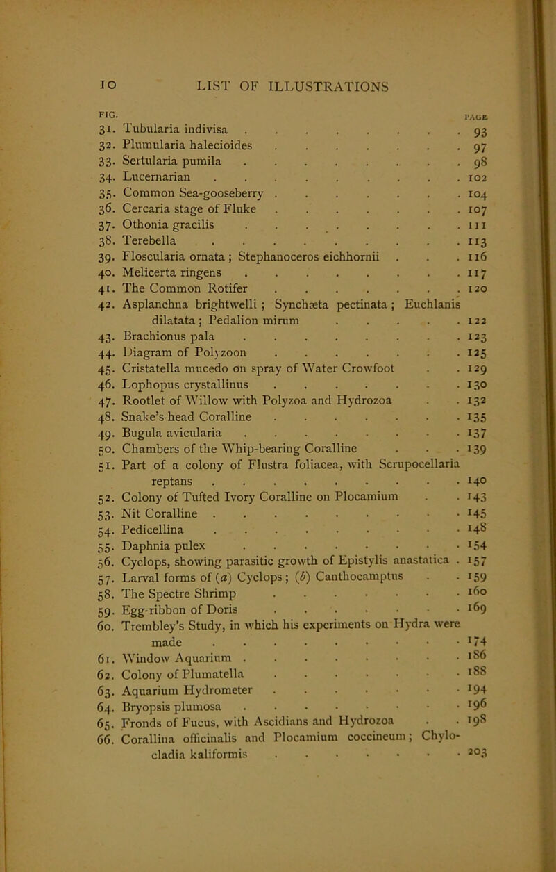 FIG. l'ACE 31. Tubnlaria indivisa 93 32. Plumularia halecioides 97 33. Sertularia pumila 98 34. Lucernarian 102 35. Common Sea-gooseberry ....... 104 36. Cercaria stage of Fluke ....... 107 37. Othonia gracilis m 38. Terebella 113 39. Floscularia ornata ; Stephanoceros eichhornii . . .116 40. Melicerta ringens 117 41. The Common Rotifer . . . . . . .120 42. Asplanchna brightwelli ; Synchceta pectinata ; Euchlanis dilatata; Pedalion mirum . . . . . 122 43. Brachionus pala 123 44. Diagram of Polyzoon . . . . . . .125 45. Cristatella mucedo on spray of Water Crowfoot . .129 46. Lophopus crystallinus . . . . . . .130 47. Rootlet of Willow with Polyzoa and Plydrozoa . . 132 48. Snake’s-head Coralline 135 49. Bugula avicularia . . . . . . . . 137 50. Chambers of the Whip-bearing Coralline . . . 139 51. Part of a colony of Flustra foliacea, with Scrupocellaria reptans 14° 52. Colony of Tufted Ivory Coralline on Plocamium . . 143 53. Nit Coralline 145 54. Pedicellina 14S 55. Daphnia pulex *54 56. Cyclops, showing parasitic growth of Epistylis anastatica . 157 57. Larval forms of (a) Cyclops; (b) Canthocamptus . • 159 58. The Spectre Shrimp I6o 59. Egg-ribbon of Doris . . . • • • .169 60. Trembley’s Study, in which his experiments on Hydra were made . . . • • • • • •174 61. Window Aquarium ....•••• >86 62. Colony of Plumatella 188 63. Aquarium Hydrometer . . . • • • • *94 64. Bryopsis plumosa . . • • • • • .196 65. Fronds of Fucus, with Ascidians and Hydrozoa . . 19S 66. Corallina officinalis and Plocamium coccineum; Chylo- cladia kaliformis 203