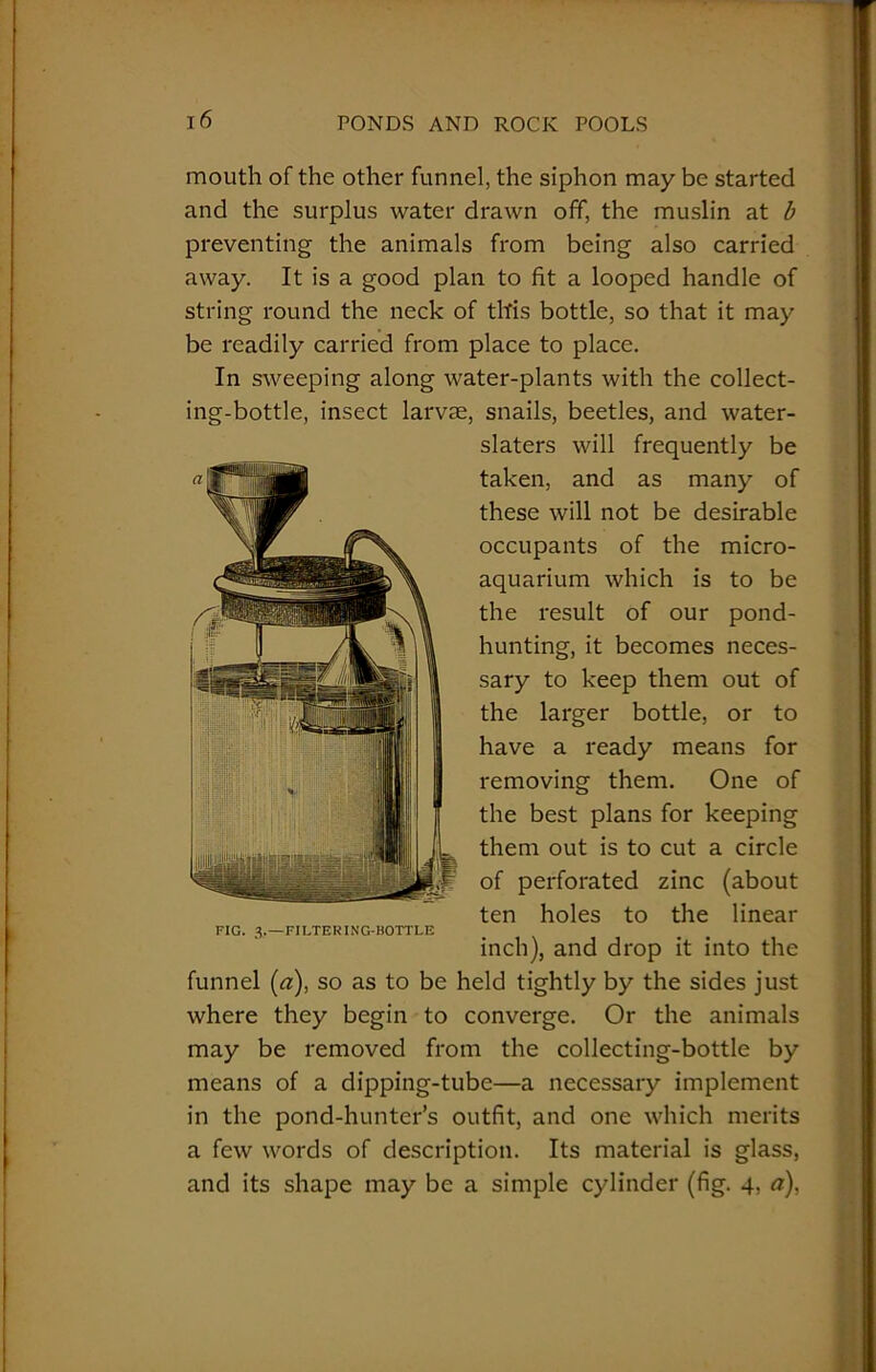 mouth of the other funnel, the siphon may be started and the surplus water drawn off, the muslin at b preventing the animals from being also carried away. It is a good plan to fit a looped handle of string round the neck of this bottle, so that it may be readily carried from place to place. In sweeping along water-plants with the collect- ing-bottle, insect larvae, snails, beetles, and water- slaters will frequently be taken, and as many of these will not be desirable occupants of the micro- aquarium which is to be the result of our pond- hunting, it becomes neces- sary to keep them out of the larger bottle, or to have a ready means for removing them. One of the best plans for keeping them out is to cut a circle of perforated zinc (about ten holes to the linear FIG. 3.—FILTERING-BOTTLE inch), and drop it into the funnel (a), so as to be held tightly by the sides just where they begin to converge. Or the animals may be removed from the collecting-bottle by means of a dipping-tube—a necessary implement in the pond-hunter’s outfit, and one which merits a few words of description. Its material is glass, and its shape may be a simple cylinder (fig. 4, a),