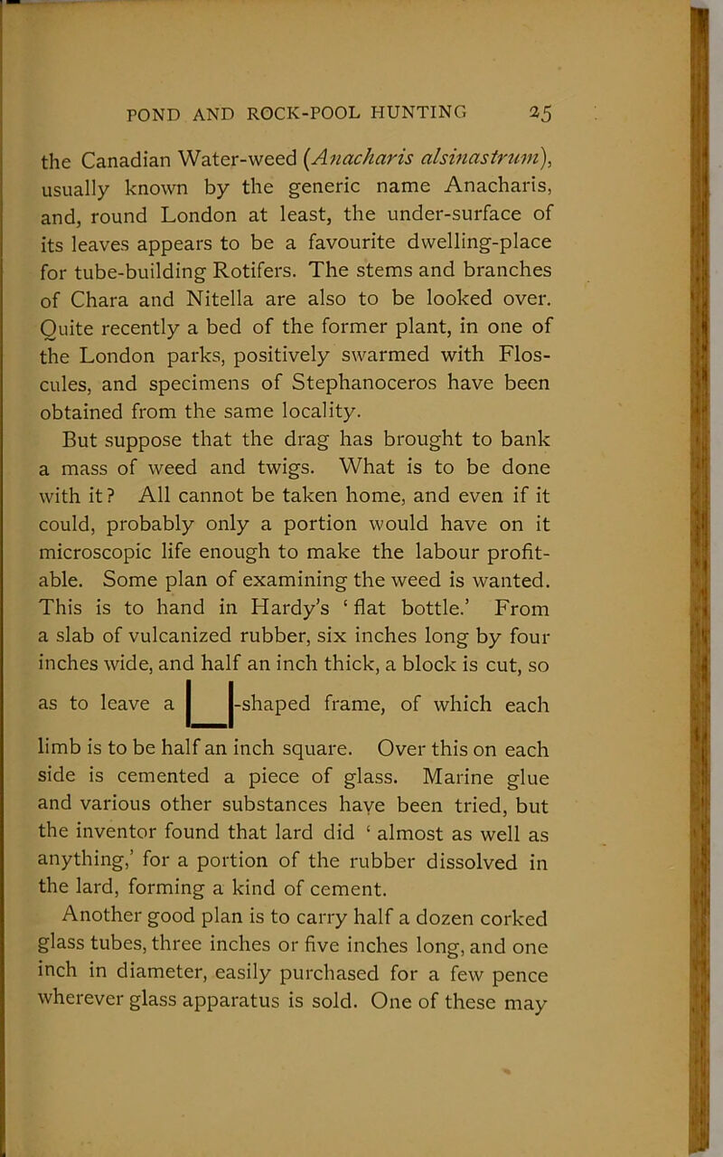 the Canadian Water-weed (Anacharis alsinastrum), usually known by the generic name Anacharis, and, round London at least, the under-surface of its leaves appears to be a favourite dwelling-place for tube-building Rotifers. The stems and branches of Chara and Nitella are also to be looked over. Quite recently a bed of the former plant, in one of the London parks, positively swarmed with Flos- cules, and specimens of Stephanoceros have been obtained from the same locality. But suppose that the drag has brought to bank a mass of weed and twigs. What is to be done with it ? All cannot be taken home, and even if it could, probably only a portion would have on it microscopic life enough to make the labour profit- able. Some plan of examining the weed is wanted. This is to hand in Hardy’s ‘ flat bottle.’ From a slab of vulcanized rubber, six inches long by four inches wide, and half an inch thick, a block is cut, so as to leave a | |-shaped frame, of which each limb is to be half an inch square. Over this on each side is cemented a piece of glass. Marine glue and various other substances haye been tried, but the inventor found that lard did ‘ almost as well as anything,’ for a portion of the rubber dissolved in the lard, forming a kind of cement. Another good plan is to carry half a dozen corked glass tubes, three inches or five inches long, and one inch in diameter, easily purchased for a few pence wherever glass apparatus is sold. One of these may