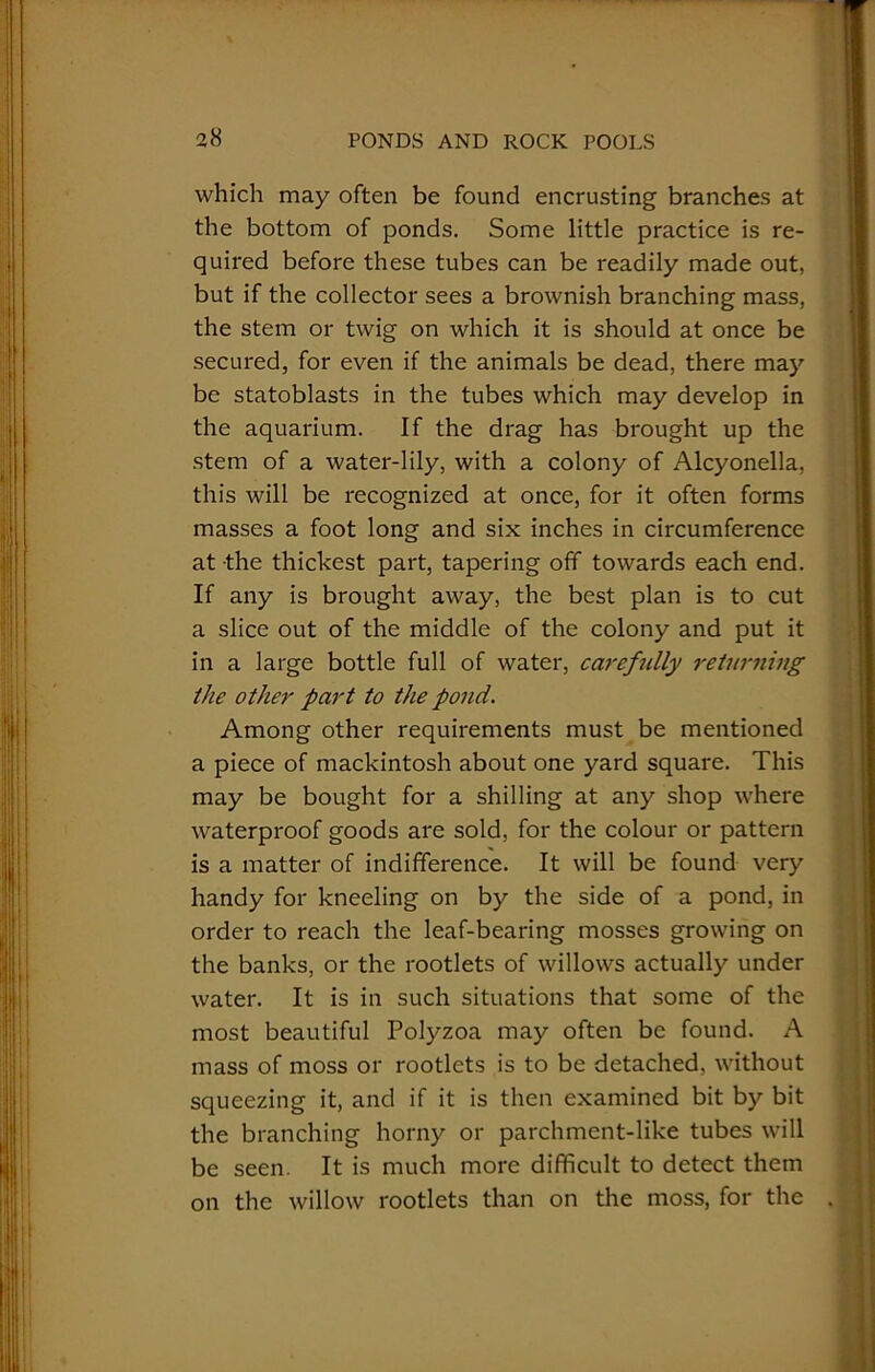 which may often be found encrusting branches at the bottom of ponds. Some little practice is re- quired before these tubes can be readily made out, but if the collector sees a brownish branching mass, the stem or twig on which it is should at once be secured, for even if the animals be dead, there may be statoblasts in the tubes which may develop in the aquarium. If the drag has brought up the stem of a water-lily, with a colony of Alcyonella, this will be recognized at once, for it often forms masses a foot long and six inches in circumference at the thickest part, tapering off towards each end. If any is brought away, the best plan is to cut a slice out of the middle of the colony and put it in a large bottle full of water, carefully returning the other part to the pond. Among other requirements must be mentioned a piece of mackintosh about one yard square. This may be bought for a shilling at any shop where waterproof goods are sold, for the colour or pattern is a matter of indifference. It will be found very handy for kneeling on by the side of a pond, in order to reach the leaf-bearing mosses growing on the banks, or the rootlets of willows actually under water. It is in such situations that some of the most beautiful Polyzoa may often be found. A mass of moss or rootlets is to be detached, without squeezing it, and if it is then examined bit by bit the branching horny or parchment-like tubes will be seen. It is much more difficult to detect them on the willow rootlets than on the moss, for the .