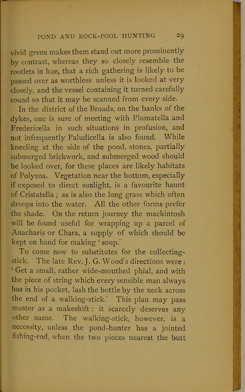 vivid green makes them stand out more prominently by contrast, whereas they so closely resemble the rootlets in hue, that a rich gathering is likely to be passed over as worthless unless it is looked at very closely, and the vessel containing it turned carefully round so that it may be scanned from every side. In the district of the Broads, on the banks of the dykes, one is sure of meeting with Plumatella and Fredericella in such situations in profusion, and not infrequently Paludicella is also found. While kneeling at the side of the pond, stones, partially submerged brickwork, and submerged wood should be looked over, for these places are likely habitats of Polyzoa. Vegetation near the bottom, especially if exposed to direct sunlight, is a favourite haunt of Cristatella ; as is also the long grass which often droops into the water. All the other forms prefer the shade. On the return journey the mackintosh will be found useful for wrapping up a parcel of Anacharis or Chara, a supply of which should be kept on hand for making ‘ soup.’ To come now to substitutes for the collecting- stick. The late Rev. J. G. Wood’s directions were : ‘ Get a small, rather wide-mouthed phial, and with the piece of string which every sensible man always has in his pocket, lash the bottle by the neck across the end of a walking-stick.’ This plan may pass muster as a makeshift : it scarcely deserves any other name. The walking-stick, however, is a necessity, unless the pond-hunter has a jointed fishing-rod, when the two pieces nearest the butt