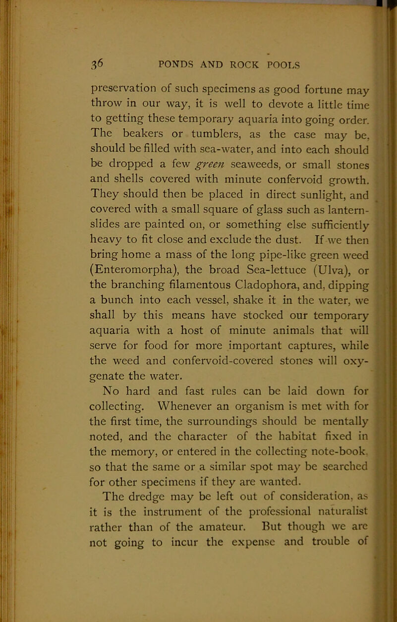preservation of such specimens as good fortune may throw in our way, it is well to devote a little time to getting these temporary aquaria into going order. The beakers or tumblers, as the case may be. should be filled with sea-water, and into each should be dropped a few green seaweeds, or small stones and shells covered with minute confervoid growth. They should then be placed in direct sunlight, and covered with a small square of glass such as lantern- slides are painted on, or something else sufficiently heavy to fit close and exclude the dust. If we then bring home a mass of the long pipe-like green weed (Enteromorpha), the broad Sea-lettuce (Ulva), or the branching filamentous Cladophora, and, dipping a bunch into each vessel, shake it in the water, we shall by this means have stocked our temporary aquaria with a host of minute animals that will serve for food for more important captures, while the weed and confervoid-covered stones will oxy- genate the water. No hard and fast rules can be laid down for collecting. Whenever an organism is met with for the first time, the surroundings should be mentally noted, and the character of the habitat fixed in the memory, or entered in the collecting note-book, so that the same or a similar spot may be searched for other specimens if they are wanted. The dredge may be left out of consideration, as it is the instrument of the professional naturalist rather than of the amateur. But though we are not going to incur the expense and trouble of