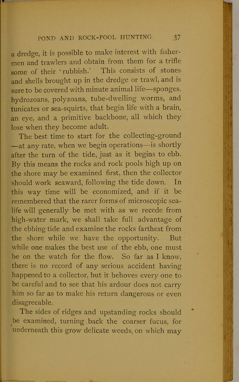 a dredge, it is possible to make interest with fisher- men and trawlers and obtain from them for a trifle some of their ! rubbish.’ This consists of stones and shells brought up in the dredge or trawl, and is sure to be covered with minute animal life—sponges, hydrozoans, polyzoans, tube-dwelling worms, and tunicates or sea-squirts, that begin life with a brain, an eye, and a primitive backbone, all which they lose when they become adult. The best time to start for the collecting-ground —at any rate, when we begin operations—is shortly after the turn of the tide, just as it begins to ebb. By this means the rocks and rock pools high up on the shore may be examined first, then the collector should work seaward, following the tide down. In this way time will be economized, and if it be remembered that the rarer forms of microscopic sea- life will generally be met with as we recede from high-water mark, we shall take full advantage of the ebbing tide and examine the rocks farthest from the shore while we have the opportunity. But while one makes the best use of the ebb, one must be on the watch for the flow. So far as I know, there is no record of any serious accident having happened to a collector, but it behoves every one to be careful and to see that his ardour does not carry him so far as to make his return dangerous or even disagreeable. The sides of ridges and upstanding rocks should be examined, turning back the coarser fucus, for underneath this grow delicate weeds, on which may