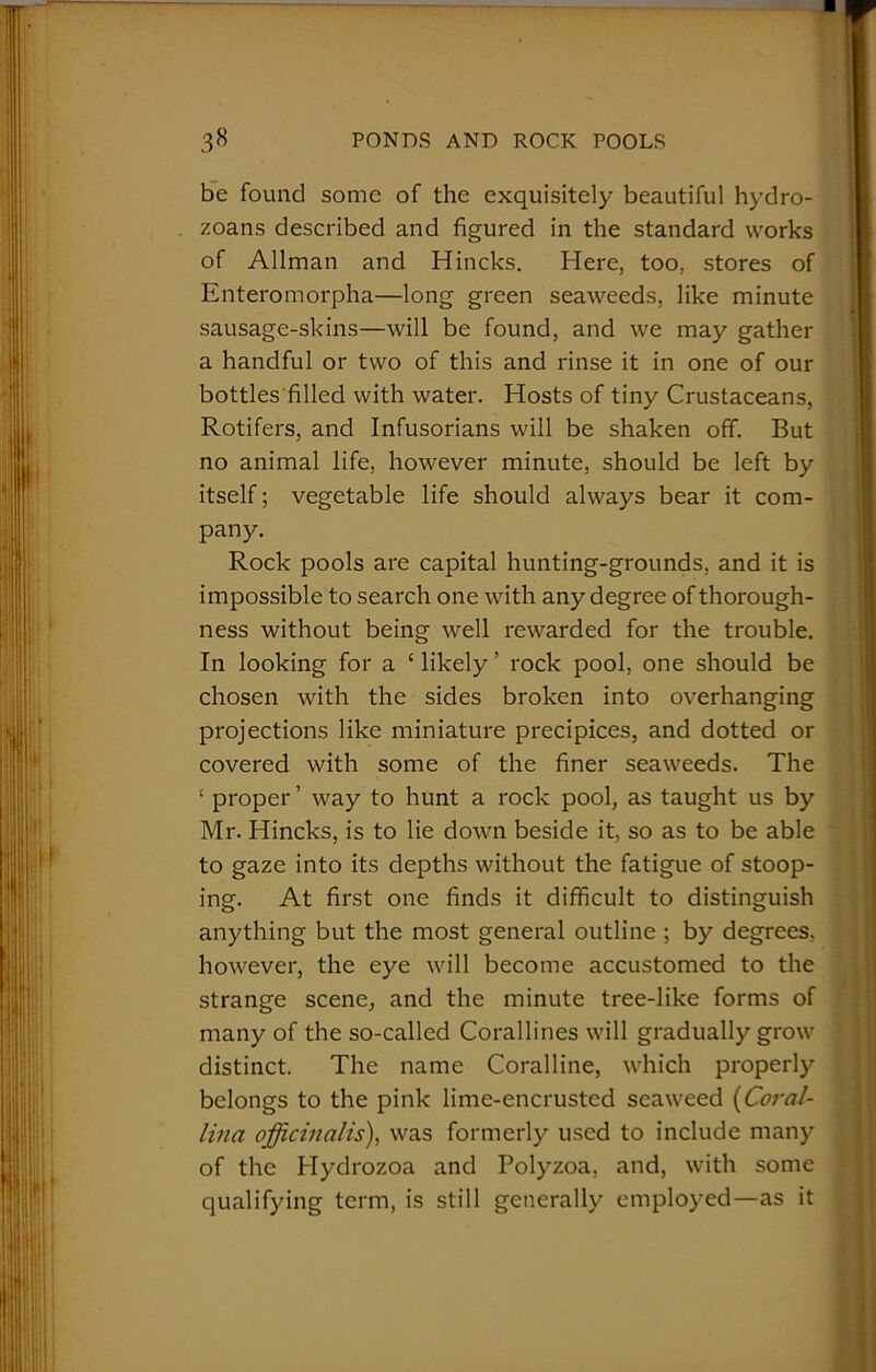 be found some of the exquisitely beautiful hydro- zoans described and figured in the standard works of Allman and Hincks. Here, too, stores of Enteromorpha—long green seaweeds, like minute sausage-skins—will be found, and we may gather a handful or two of this and rinse it in one of our bottles filled with water. Hosts of tiny Crustaceans, Rotifers, and Infusorians will be shaken off. But no animal life, however minute, should be left by itself; vegetable life should always bear it com- pany. Rock pools are capital hunting-grounds, and it is impossible to search one with any degree of thorough- ness without being well rewarded for the trouble. In looking for a ‘ likely ’ rock pool, one should be chosen with the sides broken into overhanging projections like miniature precipices, and dotted or covered with some of the finer seaweeds. The 1 proper ’ way to hunt a rock pool, as taught us by Mr. Hincks, is to lie down beside it, so as to be able to gaze into its depths without the fatigue of stoop- ing. At first one finds it difficult to distinguish anything but the most general outline ; by degrees, however, the eye will become accustomed to the strange scene, and the minute tree-like forms of many of the so-called Corallines will gradually grow distinct. The name Coralline, which properly belongs to the pink lime-encrusted seaweed (Coral- lina officinalis), was formerly used to include many of the Hydrozoa and Polyzoa, and, with some qualifying term, is still generally employed—as it