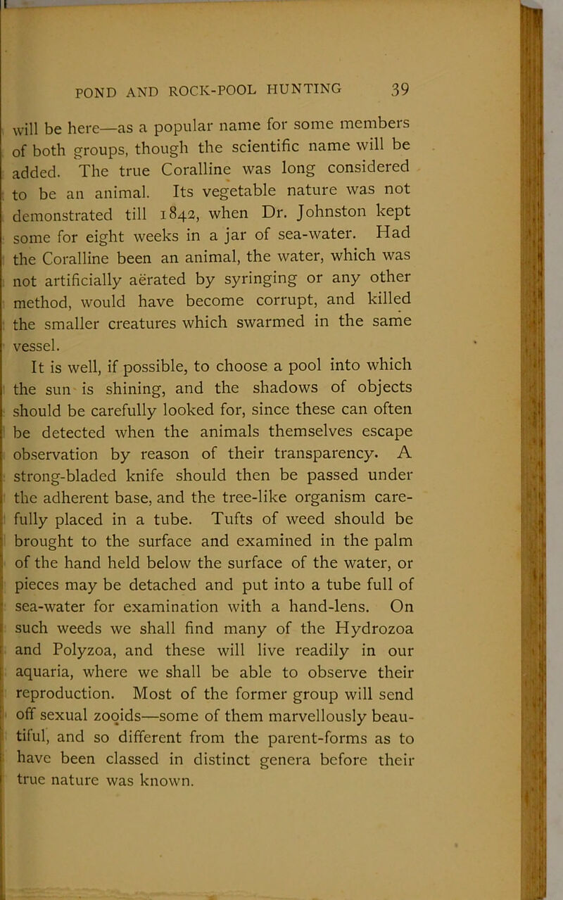 will be here—as a popular name for some members of both groups, though the scientific name will be added. The true Coralline was long considered to be an animal. Its vegetable nature was not demonstrated till 1842, when Dr. Johnston kept some for eight weeks in a jar of sea-water. Had the Coralline been an animal, the water, which was not artificially aerated by syringing or any other method, would have become corrupt, and killed the smaller creatures which swarmed in the same vessel. It is well, if possible, to choose a pool into which the sun is shining, and the shadows of objects should be carefully looked for, since these can often be detected when the animals themselves escape observation by reason of their transparency. A strong-bladed knife should then be passed under the adherent base, and the tree-like organism care- fully placed in a tube. Tufts of weed should be brought to the surface and examined in the palm of the hand held below the surface of the water, or pieces may be detached and put into a tube full of sea-water for examination with a hand-lens. On such weeds we shall find many of the Hydrozoa and Polyzoa, and these will live readily in our aquaria, where we shall be able to observe their reproduction. Most of the former group will send off sexual zooids—some of them marvellously beau- tiful, and so different from the parent-forms as to have been classed in distinct genera before then- true nature was known.