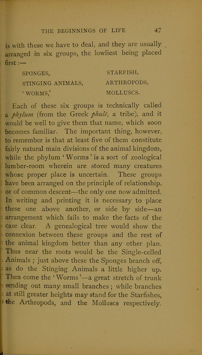 is with these we have to deal, and they are usually arranged in six groups, the lowliest being placed first:— Each of these six groups is technically called a phylum (from the Greek pliule, a tribe), and it would be well to give them that name, which soon becomes familiar. The important thing, however, to remember is that at least five of them constitute fairly natural main divisions of the animal kingdom, while the phylum ‘ Worms ’ is a sort of zoological lumber-room wherein are stored many creatures whose proper place is uncertain. These groups have been arranged on the principle of relationship, or of common descent—the only one now admitted. In writing and printing it is necessary to place these one above another, or side by side—an arrangement which fails to make the facts of the case clear. A genealogical tree would show the connexion between these groups and the rest of the animal kingdom better than any other plan. Thus near the roots would be the Single-celled Animals ; just above these the Sponges branch off, as do the Stinging Animals a little higher up. Then come the ‘ Worms ’—a great stretch of trunk sending out many small branches ; while branches at still greater heights may stand for the Starfishes, the Arthropods, and the Molluscs respectively. SPONGES, STINGING ANIMALS, ‘ WORMS,’ STARFISH, ARTPIROPODS MOLLUSCS.