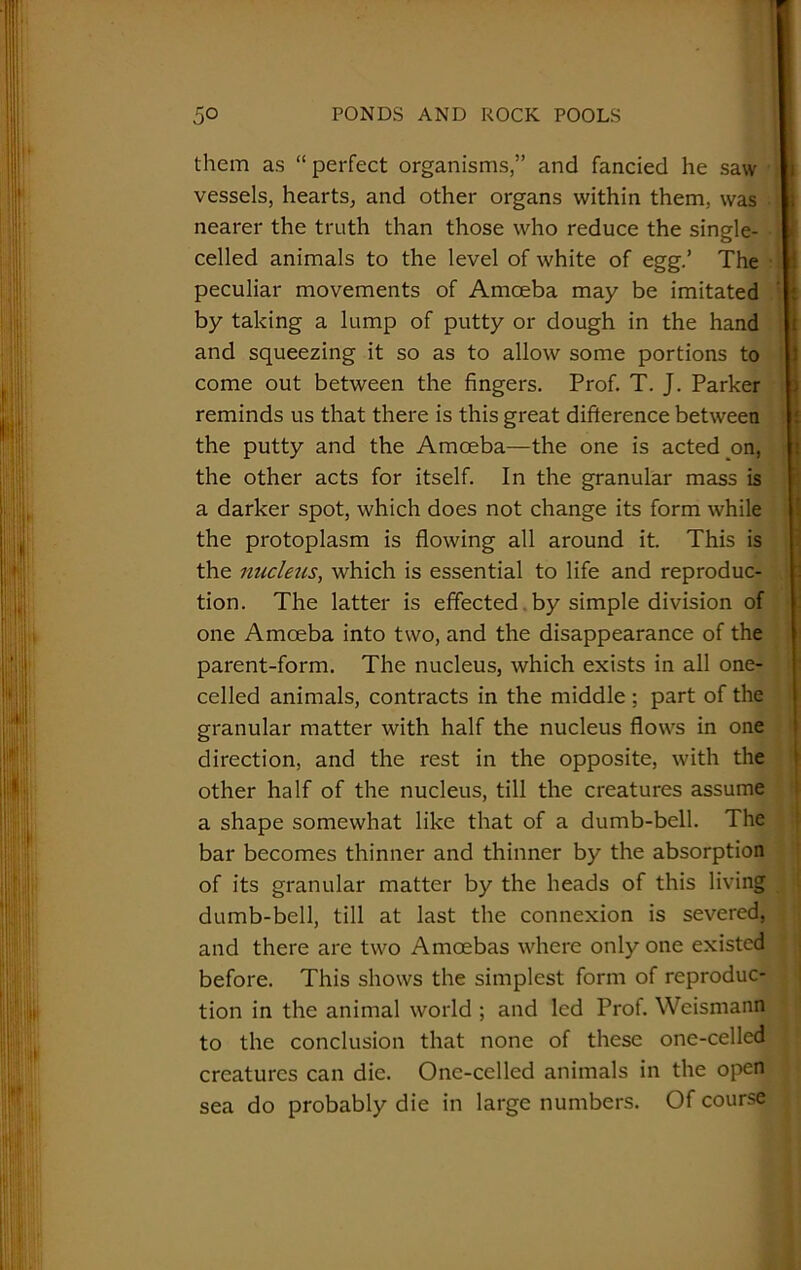 them as “ perfect organisms,” and fancied he saw vessels, hearts, and other organs within them, was nearer the truth than those who reduce the single- celled animals to the level of white of egg.’ The peculiar movements of Amoeba may be imitated by taking a lump of putty or dough in the hand and squeezing it so as to allow some portions to come out between the fingers. Prof. T. J. Parker reminds us that there is this great difference between the putty and the Amoeba—the one is acted on, the other acts for itself. In the granular mass is a darker spot, which does not change its form while the protoplasm is flowing all around it. This is the nucleus, which is essential to life and reproduc- tion. The latter is effected by simple division of one Amoeba into two, and the disappearance of the parent-form. The nucleus, which exists in all one- celled animals, contracts in the middle; part of the granular matter with half the nucleus flows in one direction, and the rest in the opposite, with the other half of the nucleus, till the creatures assume a shape somewhat like that of a dumb-bell. The bar becomes thinner and thinner by the absorption of its granular matter by the heads of this living dumb-bell, till at last the connexion is severed, and there are two Amoebas where only one existed before. This shows the simplest form of reproduc- tion in the animal world ; and led Prof. Weismann to the conclusion that none of these one-celled creatures can die. One-celled animals in the open sea do probably die in large numbers. Of course