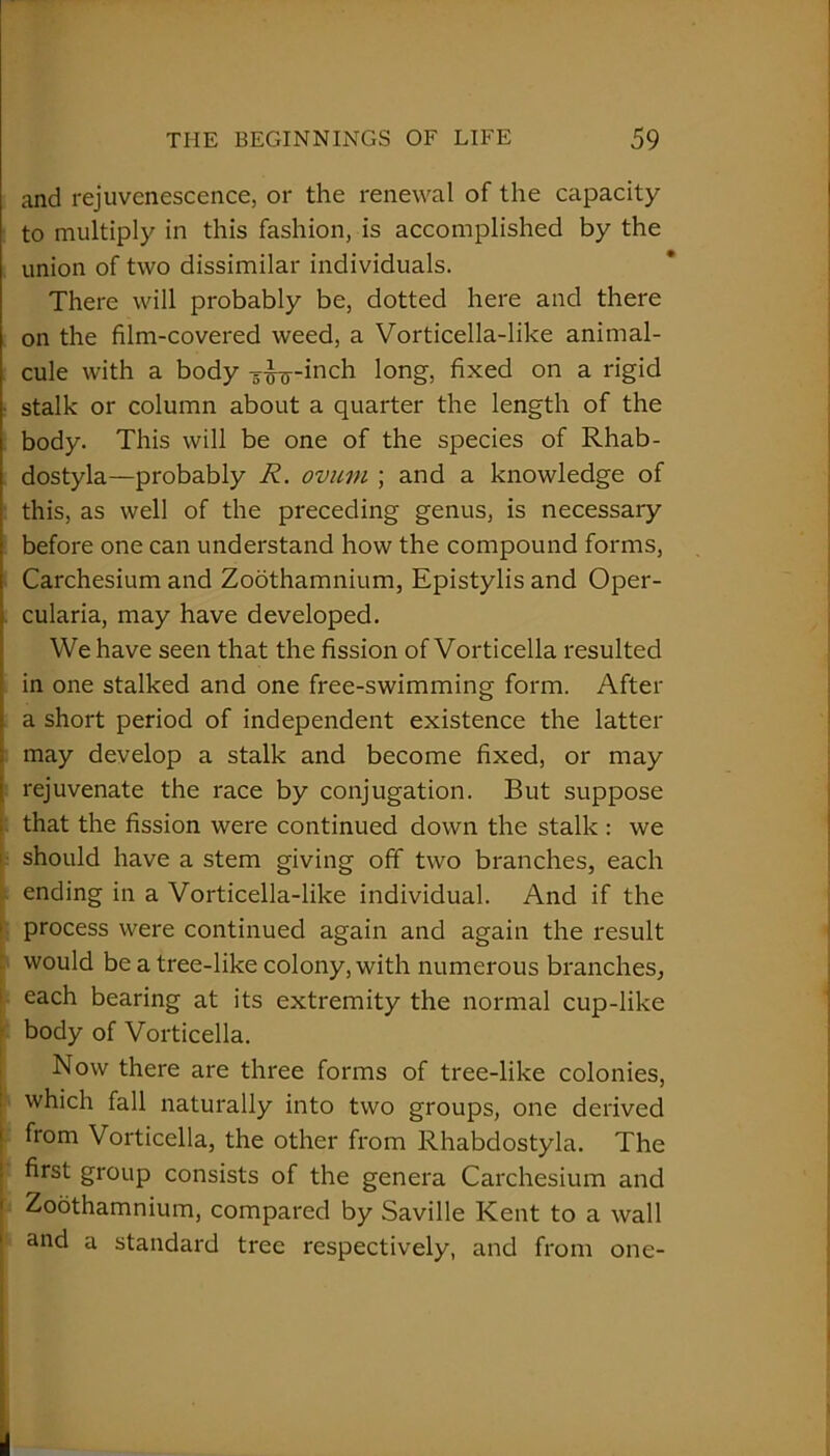 and rejuvenescence, or the renewal of the capacity to multiply in this fashion, is accomplished by the union of two dissimilar individuals. There will probably be, dotted here and there on the film-covered weed, a Vorticella-like animal- cule with a body -^--inch long, fixed on a rigid stalk or column about a quarter the length of the body. This will be one of the species of Rhab- dostyla—probably R. ovum ; and a knowledge of this, as well of the preceding genus, is necessary before one can understand how the compound forms, Carchesium and Zoothamnium, Epistylis and Oper- cularia, may have developed. We have seen that the fission of Vorticella resulted in one stalked and one free-swimming form. After a short period of independent existence the latter may develop a stalk and become fixed, or may rejuvenate the race by conjugation. But suppose that the fission were continued down the stalk : we should have a stem giving off two branches, each ending in a Vorticella-like individual. And if the process were continued again and again the result would be a tree-like colony, with numerous branches, each bearing at its extremity the normal cup-like body of Vorticella. Now there are three forms of tree-like colonies, which fall naturally into two groups, one derived from Vorticella, the other from Rhabdostyla. The first group consists of the genera Carchesium and Zoothamnium, compared by Saville Kent to a wall and a standard tree respectively, and from one-