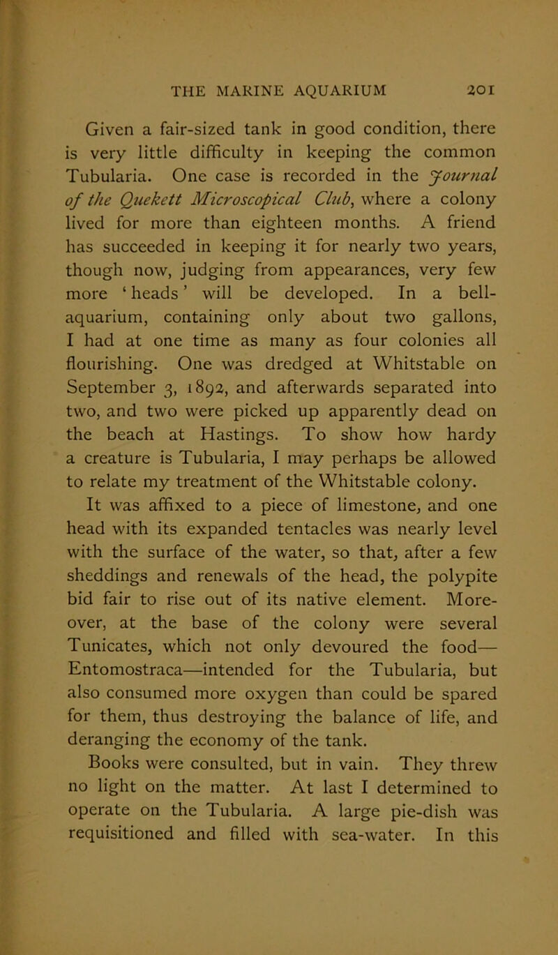 Given a fair-sized tank in good condition, there is very little difficulty in keeping the common Tubularia. One case is recorded in the Journal of the Quekett Microscopical Club, where a colony lived for more than eighteen months. A friend has succeeded in keeping it for nearly two years, though now, judging from appearances, very few more ‘ heads ’ will be developed. In a bell- aquarium, containing only about two gallons, I had at one time as many as four colonies all flourishing. One was dredged at Whitstable on September 3, 1892, and afterwards separated into two, and two were picked up apparently dead on the beach at Hastings. To show how hardy a creature is Tubularia, I may perhaps be allowed to relate my treatment of the Whitstable colony. It was affixed to a piece of limestone, and one head with its expanded tentacles was nearly level with the surface of the water, so that, after a few sheddings and renewals of the head, the polypite bid fair to rise out of its native element. More- over, at the base of the colony were several Tunicates, which not only devoured the food— Entomostraca—intended for the Tubularia, but also consumed more oxygen than could be spared for them, thus destroying the balance of life, and deranging the economy of the tank. Books were consulted, but in vain. They threw no light on the matter. At last I determined to operate on the Tubularia. A large pie-dish was requisitioned and filled with sea-water. In this