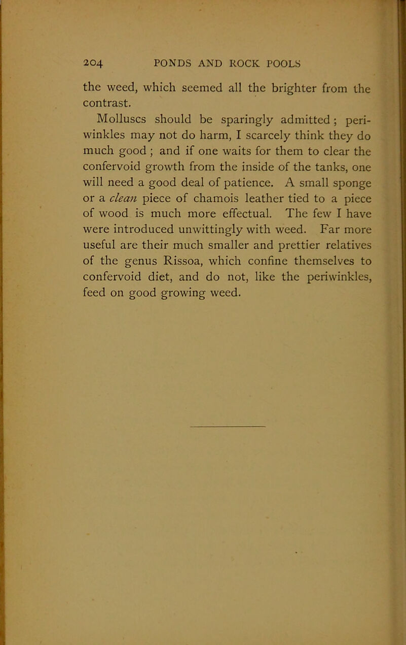 the weed, which seemed all the brighter from the contrast. Molluscs should be sparingly admitted; peri- winkles may not do harm, I scarcely think they do much good ; and if one waits for them to clear the confervoid growth from the inside of the tanks, one will need a good deal of patience. A small sponge or a clean piece of chamois leather tied to a piece of wood is much more effectual. The few I have were introduced unwittingly with weed. Far more useful are their much smaller and prettier relatives of the genus Rissoa, which confine themselves to confervoid diet, and do not, like the periwinkles, feed on good growing weed.