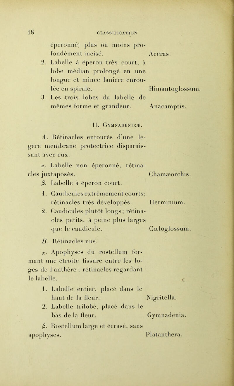 éperonné) plus ou moins pro- fondément incisé. 2. Labelle à éperon très court, à lobe médian prolongé en une longue et mince lanière enrou- lée en spirale. 3. Les trois lobes du labelle de mêmes forme et grandeur. II. Gymnadenieæ. A. Rétinacles entourés d’une lé- gère membrane protectrice disparais- sant avec eux. a. Labelle non éperonné, rétina- cles juxtaposés. (3. Labelle à éperon court. 1. Caudicules extrêmement courts; rétinacles très développés. 2. Caudicules plutôt longs; rétina- cles petits, à peine plus larges que le caudicule. 13. Rétinacles nus. a- Apophyses du rostelium for- mant une étroite fissure entre les lo- ges de l’anthère ; rétinacles regardant le labelle. 1. Labelle entier, placé dans le haut de la fleur. 2. Labelle trilobé, placé dans le bas de la Heur. /3. Rostelium large et écrasé, sans apophyses. Aceras. Himantoglossum. Anacamptis. Chamæorchis. Herminium. Cœloglossum. Nigritella. Gymnadcnia. Platanthera.