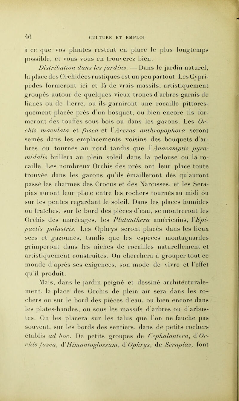 à ce que vos [liantes restent en place le plus longtemps possible, et vous vous en trouverez bien. Distribution dans les jardins. — Dans le jardin naturel, la place des Orchidées rustiques est un peu partout. Les Cypri- pèdes formeront ici et là de vrais massifs, artistiquement groupés autour de quelques vieux troncs d’arbres garnis de lianes ou de lierre, ou ils garniront une rocaille pittores- quement placée près d’un bosquet, ou bien encore ils for- meront des touffes sous bois ou dans les gazons. Les Or- chis maculata et fusca et X Acer as anthropophora seront semés dans les emplacements voisins des bouquets d’ar- bres ou tournés au nord tandis que YAnacamptis pyra- midalis brillera au plein soleil dans la pelouse ou la ro- caille. Les nombreux Orchis des prés ont leur place toute trouvée dans les gazons qu’ils émailleront dès qu’auront passé les charmes des Crocus et des Narcisses, et les Sera- pias auront leur place entre les rochers tournés au midi ou sur les pentes regardant le soleil. Dans les places humides ou fraîches, sur le bord des pièces d’eau, se montreront les Orchis des marécages, les Platanthera américains, 1 Epi- pactis palustris. Les Ophrys seront placés dans les lieux secs et gazonnés, tandis que les espèces montagnardes grimperont dans les niches de rocailles naturellement et artistiquement construites. On cherchera à grouper tout ce monde d’après ses exigences, son mode de vivre et l’effet qu’il produit. Mais, dans le jardin peigné et dessiné architecturale- ment, la place des Orchis de plein air sera dans les ro- chers ou sur le bord des pièces d’eau, ou bien encore dans les plates-bandes, ou sous les massifs d arbres ou d’arbus- tes. On les placera sur les talus que I on ne fauche pas souvent, sur les bords des sentiers, dans de petits rochers établis ad hoc. De petits groupes de Cephalantera, d'Or- chis fusca, d’Hiniantoglossum, à' Ophrys, de Serapias, font