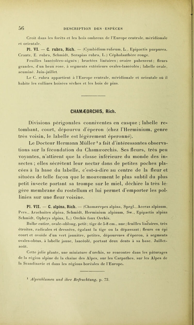 Croit dans les forêts et les bois ombreux de l’Europe centrale, méridionale et orientale. PI. VI. — C. rubra, Rich. — (Cymbidium rubrum, L., Epipactis purpurea. Crantz, E. rubra, Schmidt, Serapias rubra, L.) Céphalanthère rouge. Feuilles lancéolées-aiguës ; bractées linéaires; ovaire pubescent ; tleurs grandes, d’un beau rose, à segments extérieurs ovales-laucéolés ; labelle ovale, acuminé. Juin-juillet. Le C. rubra appartient à l’Europe centrale, méridionale et orientale où il habite les collines boisées sèches et les bois de pins. CHAMÆORCHIS, Rich. Divisions périgonales conniventes en casque ; labelle re- tombant, court, dépourvu d’éperon (chez l’Herminium, genre très voisin, le labelle est légèrement éperonné). Le Docteur Hermann Millier 1 a fait d’intéressantes observa- tions sur la fécondation du Chamæorchis. Ses fleurs, très peu voyantes, n’attirent que la classe inférieure du monde des in- sectes ; elles sécrètent leur nectar dans de petites poches pla- cées à la base du labelle, c’est-à-dire au centre de la fleur et situées de telle façon que le mouvement le plus subtil du plus petit insecte portant sa trompe sur le miel, déchire la très lé- gère membrane du rostellum et lui permet d’emporter les pol- linies sur une fleur voisine. PI. VII. — C. alpina, Rich. — (Ch;imærepes alpina, Sprgl., Aceras alpiuum, Pers., Arachnites alpina, Schmidt, Herminium alpinum, Sw., Epipactis alpina Schmidt, Ophrys alpina, L.) Orchis faux Orcliis. Bulbe entier, ovale-oblong, petit ; tige de 5-8 cm., nue ; feuilles linéaires, très étroites, radicales et dressées, égalant la tige ou la dépassant ; fleurs en épi court et ovoïde d’un vert jaunâtre, petites, dépourvues d’éperon, à segments ovales-oblus, à labelle jaune, lancéolé, portant deux dents à sa base. Juillet- août. Cette jolie plante, une miniature d’orchis, se rencontre dans les pâturages de la région alpine de la chaîne des Alpes, sur les Carpalhes, sur les Alpes de la Scandinavie et dans les régions boréales de l’Europe. 1 Alpenblumcn und ihre Befruclitung, p. 73.