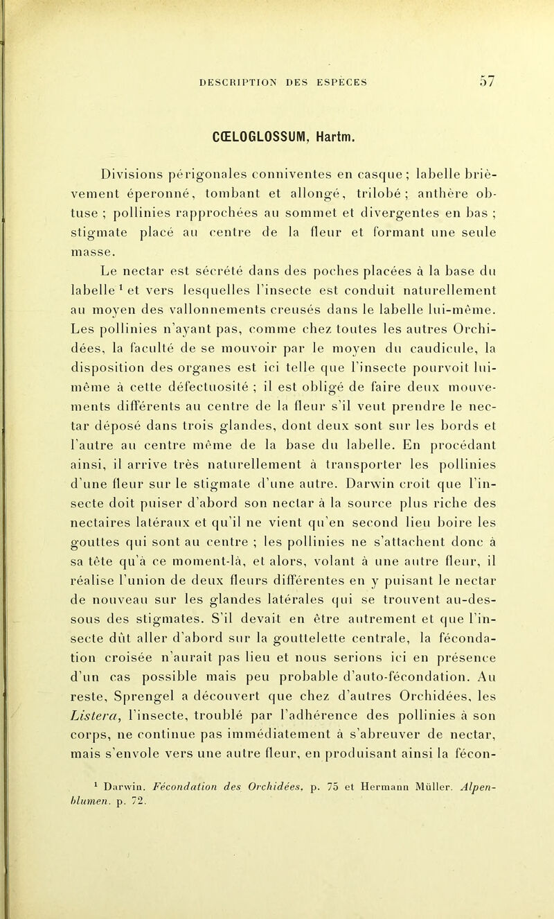 CŒLOGLOSSUM, Hartm. Divisions périgonales conniventes en casque; labelle briè- vement éperonné, tombant et allongé, trilobé; anthère ob- tuse ; pollinies rapprochées au sommet et divergentes en bas ; stigmate placé au centre de la fleur et formant une seule masse. Le nectar est sécrété dans des poches placées à la base du labelle 1 et vers lesquelles l’insecte est conduit naturellement au moyen des vallonnements creusés dans le labelle lui-même. Les pollinies n’ayant pas, comme chez toutes les autres Orchi- dées, la faculté de se mouvoir par le moyen du caudicule, la disposition des organes est ici telle que l’insecte pourvoit lui- même à cette défectuosité ; il est obligé de faire deux mouve- ments différents au centre de la fleur s’il veut prendre le nec- tar déposé dans trois glandes, dont deux sont sur les bords et l’autre au centre même de la base du labelle. En procédant ainsi, il arrive très naturellement à transporter les pollinies d’une fleur sur le stigmate d’une autre. Darwin croit que l’in- secte doit puiser d’abord son nectar à la source plus riche des nectaires latéraux et qu’il ne vient qu’en second lieu boire les gouttes qui sont au centre ; les pollinies ne s’attachent donc à sa tête qu’à ce moment-là, et alors, volant à une autre fleur, il réalise l’union de deux fleurs différentes en y puisant le nectar de nouveau sur les glandes latérales qui se trouvent au-des- sous des stigmates. S’il devait en être autrement et que l’in- secte dût aller d’abord sur la gouttelette centrale, la féconda- tion croisée n’aurait pas lieu et nous serions ici en présence d’un cas possible mais peu probable d’auto-fécondation. Au reste, Sprengel a découvert que chez d’autres Orchidées, les Listera, l'insecte, troublé par l’adhérence des pollinies à son corps, ne continue pas immédiatement à s’abreuver de nectar, mais s’envole vers une autre fleur, en produisant ainsi la fécon- 1 Darwin. Fécondation des Orchidées, p. 75 et Hermann Müller. Alpen- hlumen. p. 72.
