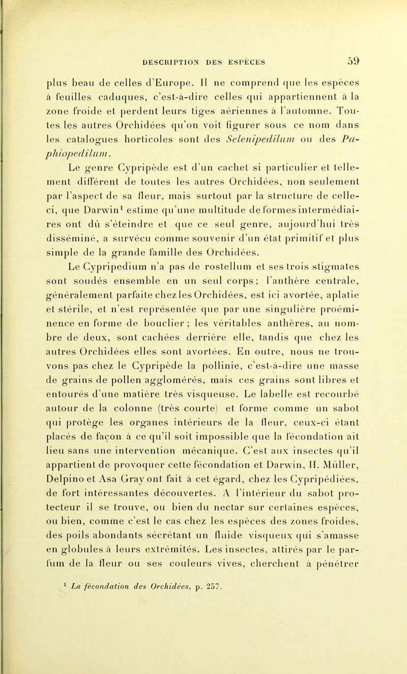 plus beau de celles d’Europe, il ne comprend que les espèces à feuilles caduques, c’est-à-dire celles qui appartiennent à la zone froide et perdent leurs tiges aériennes à l’automne. Tou- tes les autres Orchidées qu’on voit figurer sous ce nom dans les catalogues horticoles sont des Selenipedilum ou des Pci- phiopedilum. Le genre Gypripède est d’un cachet si particulier et telle- ment différent de toutes les autres Orchidées, non seulement par l’aspect de sa fleur, mais surtout par la structure de celle- ci, que Darwin1 estime qu’une multitude de formes intermédiai- res ont dû s’éteindre et que ce seid genre, aujourd’hui très disséminé, a survécu comme souvenir d’un état primitif et plus simple de la grande famille des Orchidées. Le Cypripedium n’a pas de rostellum et ses trois stigmates sont soudés ensemble en un seul corps; l’anthère centrale, généralement parfaite chez les Orchidées, est ici avortée, aplatie et stérile, et n’est représentée que par une singulière proémi- nence en forme de bouclier ; les véritables anthères, au nom- bre de deux, sont cachées derrière elle, tandis que chez les autres Orchidées elles sont avortées. En outre, nous ne trou- vons pas chez le Cypripède la pollinie, c’est-à-dire une masse de grains de pollen agglomérés, mais ces grains sont libres et entourés d’une matière très visqueuse. Le labelle est recourbé autour de la colonne (très courte) et forme comme un sabot qui protège les organes intérieurs de la fleur, ceux-ci étant placés de façon à ce qu’il soit impossible que la fécondation ait lieu sans une intervention mécanique. C’est aux insectes qu’il appartient de provoquer cette fécondation et Darwin, II. Millier, Delpinoet Asa Gray ont fait à cet égard, chez les Gypripédiées, de fort intéressantes découvertes. A l’intérieur du sabot pro- tecteur il se trouve, ou bien du nectar sur certaines espèces, ou bien, comme c’est le cas chez les espèces des zones froides, des poils abondants sécrétant un fluide visqueux qui s’amasse en globules à leurs extrémités. Les insectes, attirés par le par- fum de la fleur ou ses couleurs vives, cherchent à pénétrer La fécondation des Orchidées, p. 257.