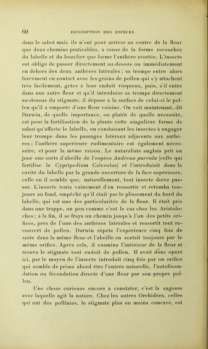 dans le sabot mais ils n’ont pour arriver au centre de la fleur que deux chemins praticables, à cause de la forme recourbée du labelle et du bouclier que forme l’anthère avortée. L’insecte est obligé de passer directement au-dessus ou immédiatement en dehors des deux anthères latérales ; sa trompe entre alors forcément en contact avec les grains de pollen qui s’y attachent très facilement, grâce à leur enduit visqueux, puis, s’il entre dans une autre fleur et qu’il introduise sa trompe directement au-dessus du stigmate, il dépose à la surface de celui-ci le pol- len qu’il a emporté d’une fleur voisine. On voit maintenant, dit Darwin, de quelle importance, ou plutôt de quelle nécessité, est pour la fertilisation de la plante cette singulière forme de sabot qu'affecte le labelle, en conduisant les insectes à engager leur trompe dans les passages latéraux adjacents aux anthè- res ; l’anthère supérieure rudimentaire est également néces- saire, et pour la même raison. Le naturaliste anglais prit un jour une sorte d’abeille de l’espèce Andrena parvula (celle qui fertilise le Cypripedium Calceolus) et l’introduisit dans la cavité du labelle par la grande ouverture de la face supérieure, celle où il semble que, naturellement, tout insecte doive pas- ser. L’insecte tenta vainement d’en ressortir et retomba tou- jours au fond, empêché qu’il était par le plissement du bord du labelle, qui est une des particularités de la fleur. Il était pris dans une trappe, un peu comme c’est le cas chez les Aristolo- ches ; à la fin, il se fraya un chemin jusqu’à l’un des petits ori- fices, près de l’une des anthères latérales et ressortit tout re- couvert de pollen. Darwin répéta l’expérience cinq fois de suite dans la même fleur et l'abeille en sortait toujours par le même orifice. Après cela, il examina l’intérieur de la fleur et trouva le stigmate tout enduit de pollen. Il avait donc opéré ici, par le moyen de l’insecte introduit cinq fois par un orifice qui semble de prime abord être l’entrée naturelle, l’autofécon- dation ou fécondation directe d’une fleur par son propre pol- len. Une chose curieuse encore à constater, c’est la sagesse avec laquelle agit la nature. Chez les autres Orchidées, celles qui ont des pollinies, le stigmate plus ou moins concave, est