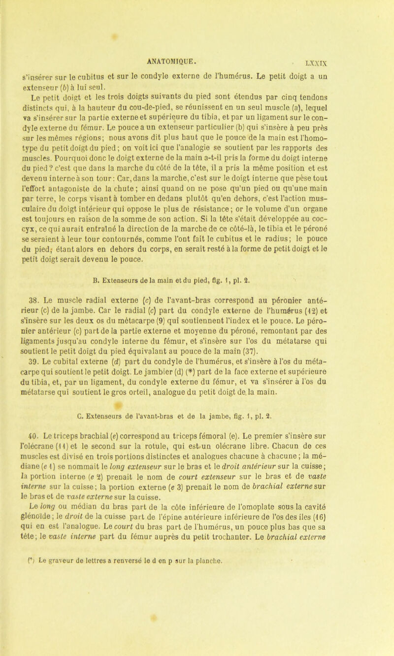 s’insérer sur le cubitus et sur le condyle externe de l’humérus. Le petit doigt a un extenseur (6) à lui seul. Le petit doigt et les trois doigts suivants du pied sont étendus par cinq tendons distincts qui, à la hauteur du cou-de-pied, se réunissent en un seul muscle (a), lequel va s’insérer sur la partie externe et supérieure du tibia, et par un ligament sur le con- dyle externe du fémur. Le pouce a un extenseur particulier (b) qui s’insère à peu près sur les mêmes régions; nous avons dit plus haut que le pouce de la main est l'homo- type du petit doigt du pied; on voit ici que l’analogie se soutient par les rapports des muscles. Pourquoi donc le doigt externe de la main a-t-il pris la forme du doigt interne du pied ? c’est que dans la marche du côté de la tête, il a pris la même position et est devenu interneàson tour: Car, dans la marche, c’est sur le doigt interne que pèse tout l’effort antagoniste de la chute; ainsi quand on ne pose qu’un pied ou qu’une main par terre, le corps visant à tomber en dedans plutôt qu’en dehors, c’est l’action mus- culaire du doigt intérieur qui oppose le plus de résistance; or le volume d’un organe est toujours en raison de la somme de son action. Si la tête s’était développée au coc- cyx, ce qui aurait entraîné la direction de la marche de ce côté-là, le tibia et le péroné se seraient à leur tour contournés, comme l’ont fait le cubitus et le radius; le pouce du pied; élantalors en dehors du corps, en serait resté à la forme de petit doigt et le petit doigt serait devenu le pouce. B. Extenseurs delà main et du pied, flg. 1, pi. 2. 38. Le muscle radial externe (c) de l’avant-bras correspond au péronier anté- rieur (c) de la jambe. Car le radial (c) part du condyle externe de l’humérus (12) et s’insère sur les deux os du métacarpe (9) qui soutiennent l’index et le pouce. Le péro- nier antérieur (c) part de la partie externe et moyenne du péroné, remontant par des ligaments jusqu'au condyle interne du fémur, et s’insère sur l’os du métatarse qui soutient le petit doigt du pied équivalant au pouce de la main (37). 39. Le cubital externe (d) part du condyle de l’humérus, et s’insère à l’os du méta- carpe qui soutient le petit doigt. Le jambier (d) (*) part de la face externe et supérieure du tibia, et, par un ligament, du condyle externe du fémur, et va s'insérer à l’os du métatarse qui soutient le gros orteil, analogue du petit doigt de. la main. C. Extenseurs de l’avant-bras et de la jambe, flg. 1, pl. 2. 40- Le triceps brachial (e) correspond au triceps fémoral (e). Le premier s’insère sur l’olécrane (11) et le second sur la rotule, qui est.un olécrane libre. Chacun de ces muscles est divisé en trois portions distinctes et analogues chacune à chacune ; la mé- diane (e 1) se nommait le long extenseur sur le bras et le droit antérieur sur la cuisse ; la portion interne (e 2) prenait le nom de court extenseur sur le bras et de vaste interne sur la cuisse; la portion externe (e 3) prenait le nom de brachial externe sur le bras et de vaste externe sur la cuisse. Le long ou médian du bras part de la côte inférieure de l’omoplate sous la cavité glénoîde ; le droit de la cuisse part de l'épine antérieure inférieure de l’os des iles (16) qui en est l’analogue. Le court du bras part de l'humérus, un pouce plus bas que sa tète; le vaste interne part du fémur auprès du petit trochanter. Le brachial externe C) Le graveur de lettres a renversé le d en p sur la planche.