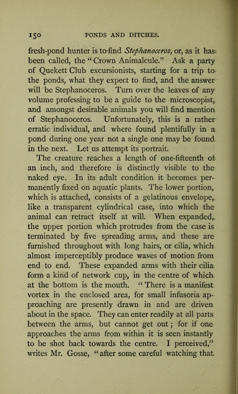 fresh-pond hunter is to-find Stephanoceros, or, as it has; been called, the “ Crown Animalcule.” Ask a party of Quekett Club excursionists, starting for a trip to the ponds, what they expect to find, and the answer will be Stephanoceros. Turn over the leaves of any volume professing to be a guide to the microscopist,. and amongst desirable animals you will find mention of Stephanoceros. Unfortunately, this is a rather erratic individual, and where found plentifully in a, pond during one year not a single one may be found- in the next. Let us attempt its portrait. The creature reaches a length of one-fifteenth of an inch, and therefore is distinctly visible to the naked eye. In its adult condition it becomes per- manently fixed on aquatic plants. The lower portion, which is attached, consists of a gelatinous envelope,, like a transparent cylindrical case, into which the animal can retract itself at will. When expanded,, the upper portion which protrudes from the case is terminated by five spreading arms, and these are furnished throughout with long hairs, or cilia, which almost imperceptibly produce waves of motion from end to end. These expanded arms with their cilia form a kind of network cup, in the centre of which at the bottom is the mouth. “ There is a manifest vortex in the enclosed area, for small infusoria ap- proaching are presently drawn in and are driven about in the space. They can enter readily at all parts between the arms, but cannot get out; for if one approaches the arms from within it is seen instantly to be shot back towards the centre. I perceived,” writes Mr. Gosse, “ after some careful watching that