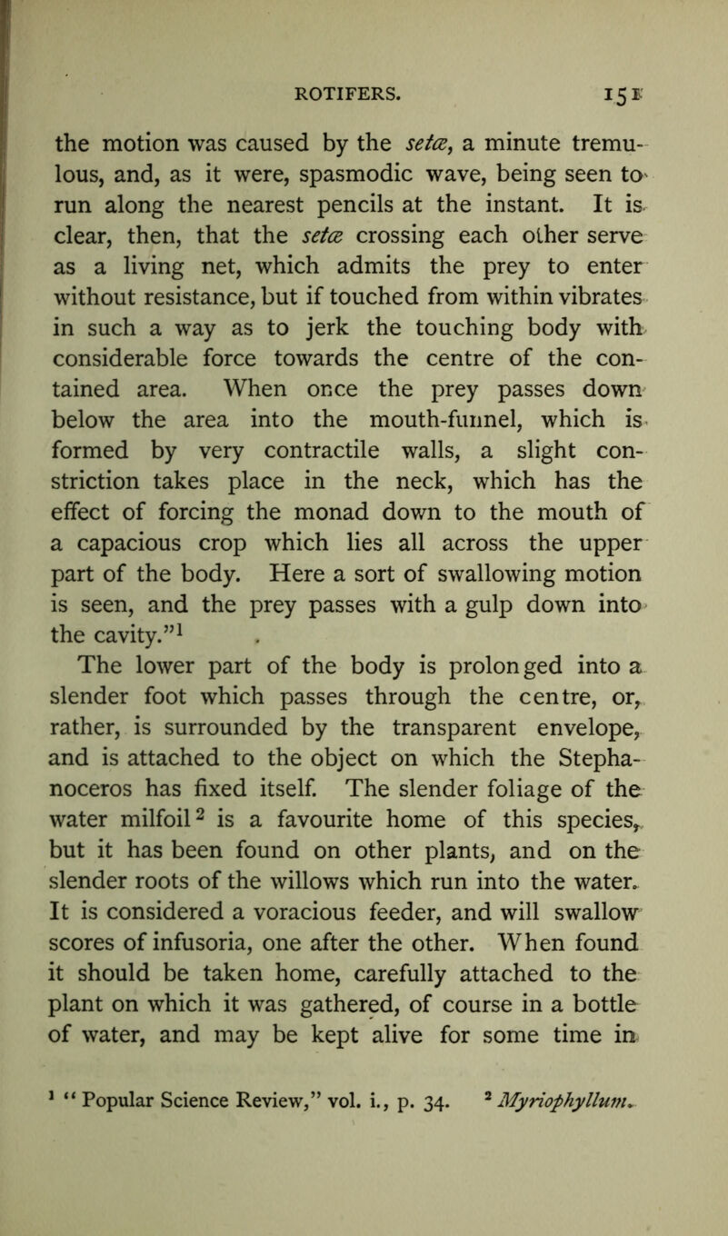 the motion was caused by the seta, a minute tremu- lous, and, as it were, spasmodic wave, being seen to^ run along the nearest pencils at the instant It is clear, then, that the seta crossing each other serve as a living net, which admits the prey to enter without resistance, but if touched from within vibrates in such a way as to jerk the touching body with considerable force towards the centre of the con- tained area. When once the prey passes down below the area into the mouth-funnel, which is formed by very contractile walls, a slight con- striction takes place in the neck, which has the effect of forcing the monad down to the mouth of a capacious crop which lies all across the upper part of the body. Here a sort of swallowing motion is seen, and the prey passes with a gulp down into the cavity.”1 The lower part of the body is prolonged into a slender foot which passes through the centre, or, rather, is surrounded by the transparent envelope, and is attached to the object on which the Stepha- noceros has fixed itself. The slender foliage of the water milfoil2 is a favourite home of this species* but it has been found on other plants, and on the slender roots of the willows which run into the water. It is considered a voracious feeder, and will swallow scores of infusoria, one after the other. When found it should be taken home, carefully attached to the plant on which it was gathered, of course in a bottle of water, and may be kept alive for some time in 1 “ Popular Science Review,” vol. i., p. 34. 2 Myriophyllutn►
