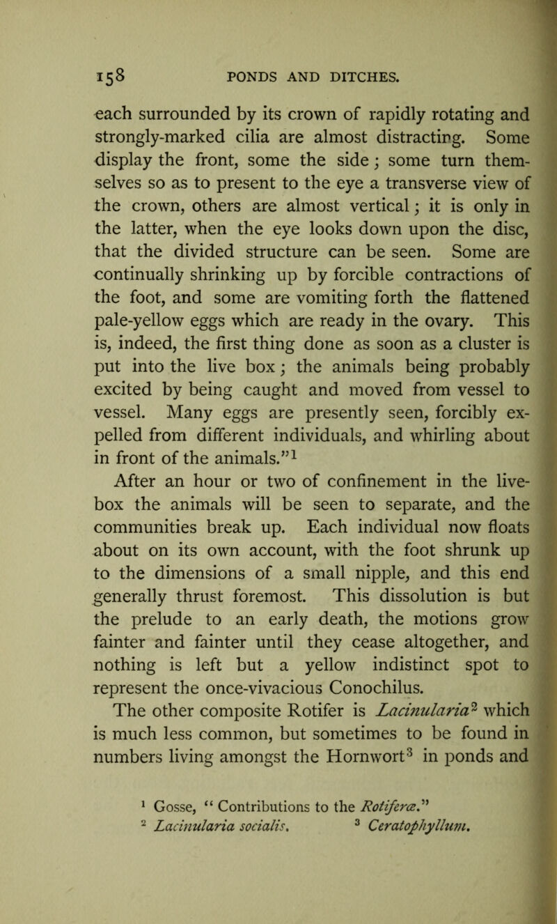 each surrounded by its crown of rapidly rotating and strongly-marked cilia are almost distracting. Some display the front, some the side; some turn them- selves so as to present to the eye a transverse view of the crown, others are almost vertical; it is only in the latter, when the eye looks down upon the disc, that the divided structure can be seen. Some are continually shrinking up by forcible contractions of the foot, and some are vomiting forth the flattened pale-yellow eggs which are ready in the ovary. This is, indeed, the first thing done as soon as a cluster is put into the live box; the animals being probably excited by being caught and moved from vessel to vessel. Many eggs are presently seen, forcibly ex- pelled from different individuals, and whirling about in front of the animals.”1 2 After an hour or two of confinement in the live- box the animals will be seen to separate, and the communities break up. Each individual now floats about on its own account, with the foot shrunk up to the dimensions of a small nipple, and this end generally thrust foremost. This dissolution is but the prelude to an early death, the motions grow fainter and fainter until they cease altogether, and nothing is left but a yellow indistinct spot to represent the once-vivacious Conochilus. The other composite Rotifer is Lacinularia3 which is much less common, but sometimes to be found in numbers living amongst the Hornwort3 in ponds and 1 Gosse, “ Contributions to the Rotifem” 2 Lacinularia socialise 3 Ceratophyllum.