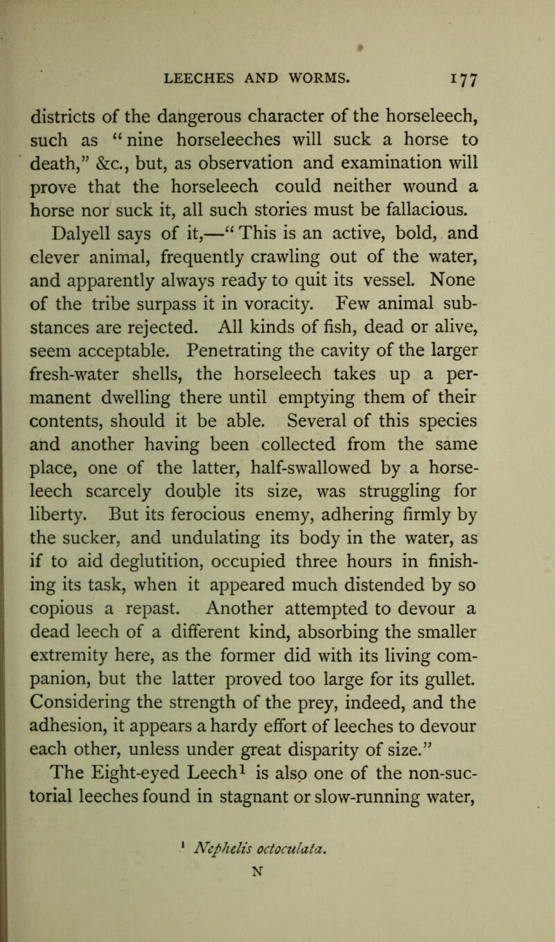 districts of the dangerous character of the horseleech, such as “ nine horseleeches will suck a horse to death,” &c., but, as observation and examination will prove that the horseleech could neither wound a horse nor suck it, all such stories must be fallacious. Dalyell says of it,—“ This is an active, bold, and clever animal, frequently crawling out of the water, and apparently always ready to quit its vessel. None of the tribe surpass it in voracity. Few animal sub- stances are rejected. All kinds of fish, dead or alive, seem acceptable. Penetrating the cavity of the larger fresh-water shells, the horseleech takes up a per- manent dwelling there until emptying them of their contents, should it be able. Several of this species and another having been collected from the same place, one of the latter, half-swallowed by a horse- leech scarcely double its size, was struggling for liberty. But its ferocious enemy, adhering firmly by the sucker, and undulating its body in the water, as if to aid deglutition, occupied three hours in finish- ing its task, when it appeared much distended by so copious a repast. Another attempted to devour a dead leech of a different kind, absorbing the smaller extremity here, as the former did with its living com- panion, but the latter proved too large for its gullet. Considering the strength of the prey, indeed, and the adhesion, it appears a hardy effort of leeches to devour each other, unless under great disparity of size.” The Eight-eyed Leech1 is also one of the non-suc- torial leeches found in stagnant or slow-running water, 1 Nephelis octoculata. N