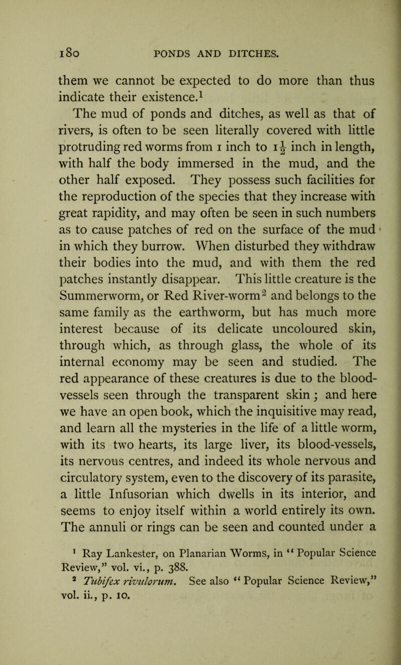 them we cannot be expected to do more than thus indicate their existence.1 The mud of ponds and ditches, as well as that of rivers, is often to be seen literally covered with little protruding red worms from i inch to ij inch in length, with half the body immersed in the mud, and the other half exposed. They possess such facilities for the reproduction of the species that they increase with great rapidity, and may often be seen in such numbers as to cause patches of red on the surface of the mud • in which they burrow. When disturbed they withdraw their bodies into the mud, and with them the red patches instantly disappear. This little creature is the Summerworm, or Red River-worm2 and belongs to the same family as the earthworm, but has much more interest because of its delicate uncoloured skin, through which, as through glass, the whole of its internal economy may be seen and studied. The red appearance of these creatures is due to the blood- vessels seen through the transparent skin; and here we have an open book, which the inquisitive may read, and learn all the mysteries in the life of a little worm, with its two hearts, its large liver, its blood-vessels, its nervous centres, and indeed its whole nervous and circulatory system, even to the discovery of its parasite, a little Infusorian which dwells in its interior, and seems to enjoy itself within a world entirely its own. The annuli or rings can be seen and counted under a 1 Ray Lankester, on Planarian Worms, in “ Popular Science Review,” vol. vi., p. 388. 2 Ttibifcx rivulorum. See also “ Popular Science Review,”