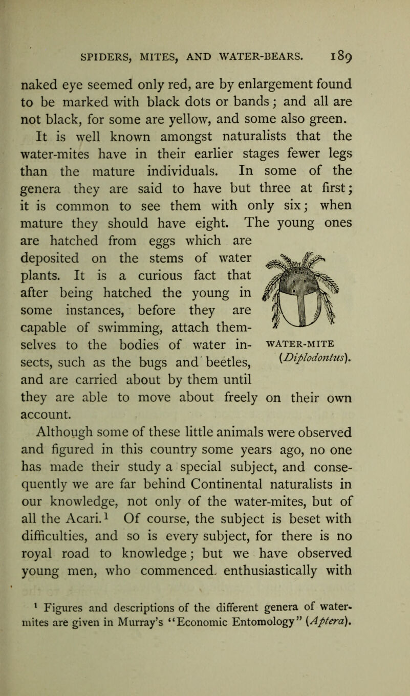 naked eye seemed only red, are by enlargement found to be marked with black dots or bands; and all are not black, for some are yellow, and some also green. It is well known amongst naturalists that the water-mites have in their earlier stages fewer legs than the mature individuals. In some of the genera they are said to have but three at first; it is common to see them with only six; when mature they should have eight. The young ones are hatched from eggs which are deposited on the stems of water plants. It is a curious fact that after being hatched the young in some instances, before they are capable of swimming, attach them- selves to the bodies of water in- water-mite sects, such as the bugs and beetles, (■Diplodontus). and are carried about by them until they are able to move about freely on their own account. Although some of these little animals were observed and figured in this country some years ago, no one has made their study a special subject, and conse- quently we are far behind Continental naturalists in our knowledge, not only of the water-mites, but of all the Acari.1 Of course, the subject is beset with difficulties, and so is every subject, for there is no royal road to knowledge; but we have observed young men, who commenced, enthusiastically with 1 Figures and descriptions of the different genera of water- mites are given in Murray’s “Economic Entomology” (Aptera),