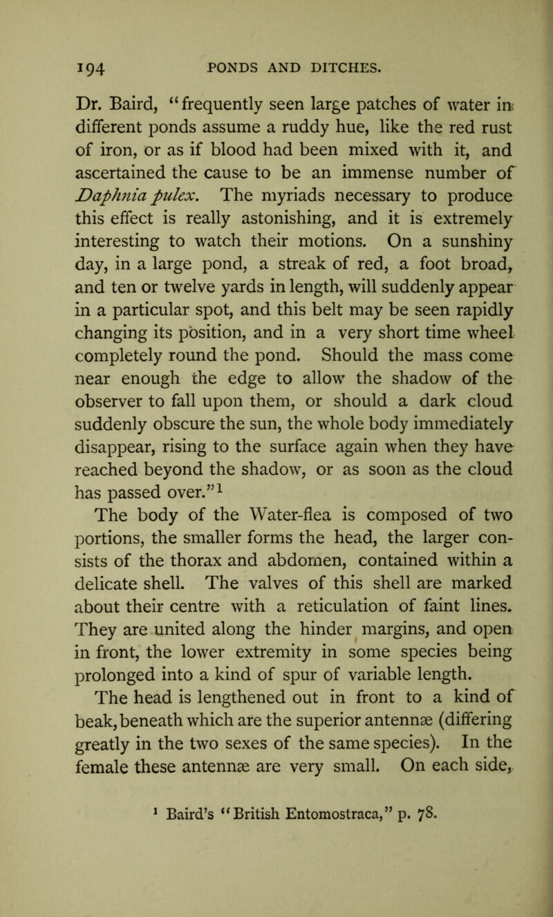 Dr. Baird, “ frequently seen large patches of water in, different ponds assume a ruddy hue, like the red rust of iron, or as if blood had been mixed with it, and ascertained the cause to be an immense number of Daphnia pulex. The myriads necessary to produce this effect is really astonishing, and it is extremely interesting to watch their motions. On a sunshiny day, in a large pond, a streak of red, a foot broad, and ten or twelve yards in length, will suddenly appear in a particular spot, and this belt may be seen rapidly changing its position, and in a very short time wheel completely round the pond. Should the mass come near enough the edge to allow the shadow of the observer to fall upon them, or should a dark cloud suddenly obscure the sun, the whole body immediately disappear, rising to the surface again when they have reached beyond the shadow, or as soon as the cloud has passed over.”1 The body of the Water-flea is composed of two portions, the smaller forms the head, the larger con- sists of the thorax and abdomen, contained within a delicate shell. The valves of this shell are marked about their centre with a reticulation of faint lines. They are united along the hinder margins, and open in front, the lower extremity in some species being prolonged into a kind of spur of variable length. The head is lengthened out in front to a kind of beak, beneath which are the superior antennae (differing greatly in the two sexes of the same species). In the female these antennae are very small. On each side, 1 Baird’s “ British Entomostraca,” p. 78.