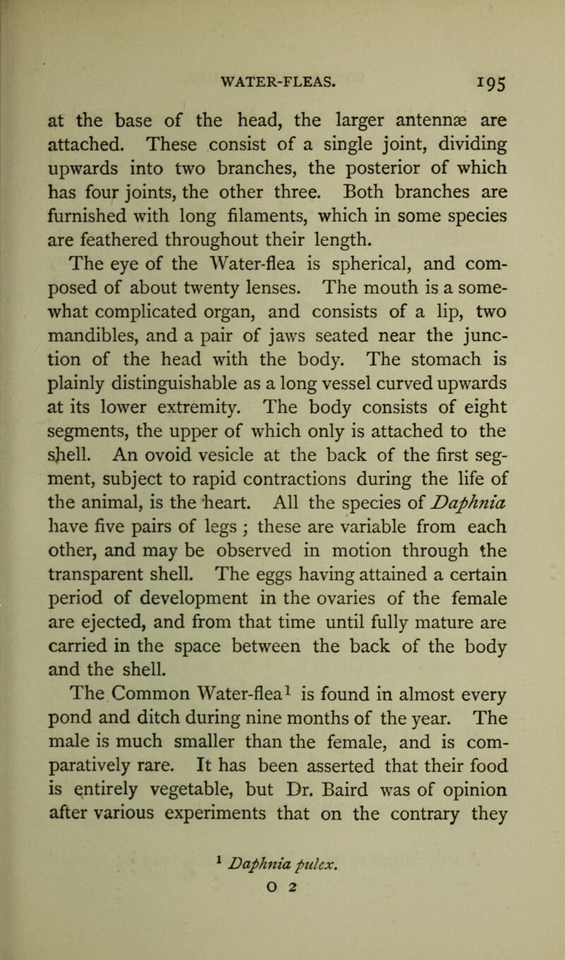 at the base of the head, the larger antennae are attached. These consist of a single joint, dividing upwards into two branches, the posterior of which has four joints, the other three. Both branches are furnished with long filaments, which in some species are feathered throughout their length. The eye of the Water-flea is spherical, and com- posed of about twenty lenses. The mouth is a some- what complicated organ, and consists of a lip, two mandibles, and a pair of jaws seated near the junc- tion of the head with the body. The stomach is plainly distinguishable as a long vessel curved upwards at its lower extremity. The body consists of eight segments, the upper of which only is attached to the shell. An ovoid vesicle at the back of the first seg- ment, subject to rapid contractions during the life of the animal, is the heart. All the species of Daphnia have five pairs of legs ; these are variable from each other, and may be observed in motion through the transparent shell. The eggs having attained a certain period of development in the ovaries of the female are ejected, and from that time until fully mature are carried in the space between the back of the body and the shell. The Common Water-flea1 is found in almost every pond and ditch during nine months of the year. The male is much smaller than the female, and is com- paratively rare. It has been asserted that their food is entirely vegetable, but Dr. Baird was of opinion after various experiments that on the contrary they 1 Daphnia pulex. O 2