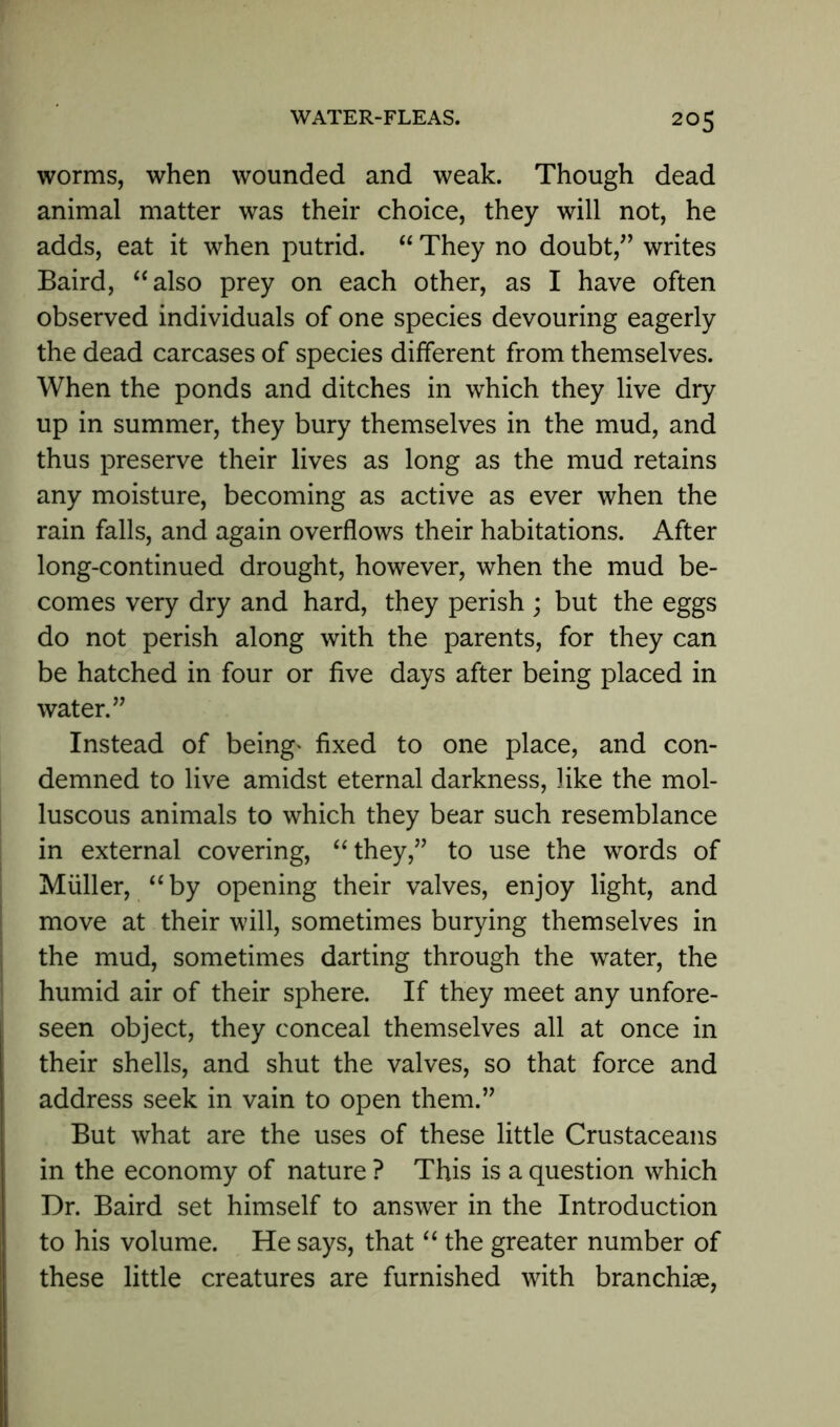 worms, when wounded and weak. Though dead animal matter was their choice, they will not, he adds, eat it when putrid. “ They no doubt,” writes Baird, “also prey on each other, as I have often observed individuals of one species devouring eagerly the dead carcases of species different from themselves. When the ponds and ditches in which they live dry up in summer, they bury themselves in the mud, and thus preserve their lives as long as the mud retains any moisture, becoming as active as ever when the rain falls, and again overflows their habitations. After long-continued drought, however, when the mud be- comes very dry and hard, they perish ; but the eggs do not perish along with the parents, for they can be hatched in four or five days after being placed in water.” Instead of being* fixed to one place, and con- demned to live amidst eternal darkness, like the mol- luscous animals to which they bear such resemblance in external covering, “they,” to use the words of Muller, “by opening their valves, enjoy light, and move at their will, sometimes burying themselves in the mud, sometimes darting through the water, the humid air of their sphere. If they meet any unfore- seen object, they conceal themselves all at once in their shells, and shut the valves, so that force and address seek in vain to open them.” But what are the uses of these little Crustaceans in the economy of nature ? This is a question which Dr. Baird set himself to answer in the Introduction to his volume. He says, that “ the greater number of these little creatures are furnished with branchiae,