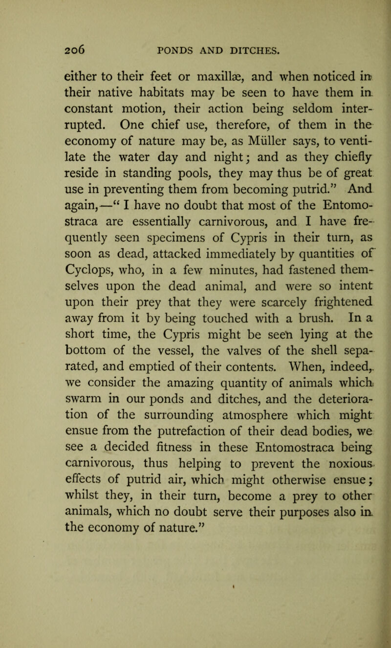 either to their feet or maxillae, and when noticed in their native habitats may be seen to have them in- constant motion, their action being seldom inter- rupted. One chief use, therefore, of them in the economy of nature may be, as Muller says, to venti- late the water day and night; and as they chiefly reside in standing pools, they may thus be of great use in preventing them from becoming putrid.” And again,—“ I have no doubt that most of the Entomo- straca are essentially carnivorous, and I have fre- quently seen specimens of Cypris in their turn, as soon as dead, attacked immediately by quantities of Cyclops, who, in a few minutes, had fastened them- selves upon the dead animal, and were so intent upon their prey that they were scarcely frightened away from it by being touched with a brush. In a short time, the Cypris might be seen lying at the bottom of the vessel, the valves of the shell sepa- rated, and emptied of their contents. When, indeed,, we consider the amazing quantity of animals which, swarm in our ponds and ditches, and the deteriora- tion of the surrounding atmosphere which might ensue from the putrefaction of their dead bodies, we see a decided fitness in these Entomostraca being carnivorous, thus helping to prevent the noxious, effects of putrid air, which might otherwise ensue; whilst they, in their turn, become a prey to other animals, which no doubt serve their purposes also ia the economy of nature.”