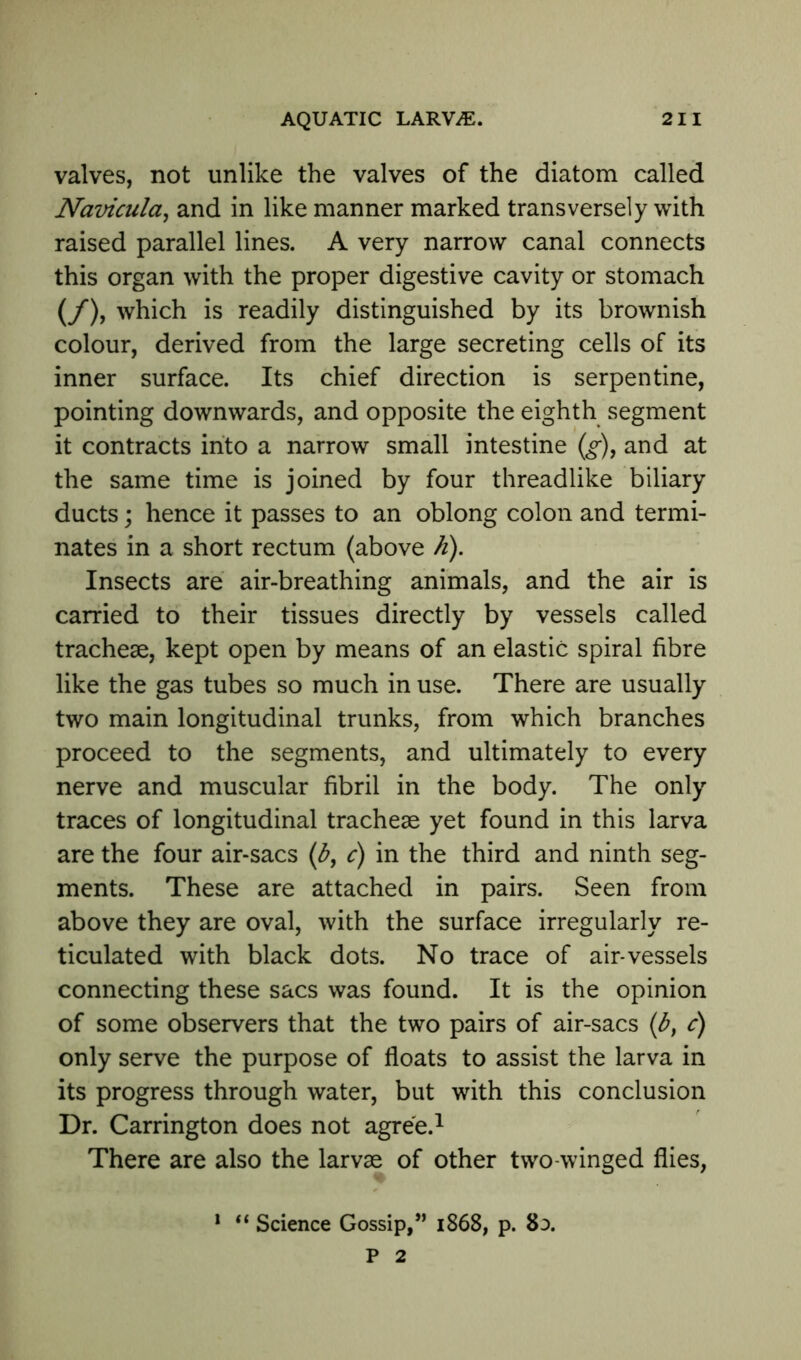 valves, not unlike the valves of the diatom called Navicula, and in like manner marked transversely with raised parallel lines. A very narrow canal connects this organ with the proper digestive cavity or stomach (/), which is readily distinguished by its brownish colour, derived from the large secreting cells of its inner surface. Its chief direction is serpentine, pointing downwards, and opposite the eighth segment it contracts into a narrow small intestine (g), and at the same time is joined by four threadlike biliary ducts; hence it passes to an oblong colon and termi- nates in a short rectum (above h). Insects are air-breathing animals, and the air is carried to their tissues directly by vessels called tracheae, kept open by means of an elastic spiral fibre like the gas tubes so much in use. There are usually two main longitudinal trunks, from which branches proceed to the segments, and ultimately to every nerve and muscular fibril in the body. The only traces of longitudinal tracheae yet found in this larva are the four air-sacs (b, c) in the third and ninth seg- ments. These are attached in pairs. Seen from above they are oval, with the surface irregularly re- ticulated with black dots. No trace of air-vessels connecting these sacs was found. It is the opinion of some observers that the two pairs of air-sacs (b} c) only serve the purpose of floats to assist the larva in its progress through water, but with this conclusion Dr. Carrington does not agree.1 There are also the larvae of other two-winged flies, 1 “ Science Gossip,” 1868, p. 8:>. P 2