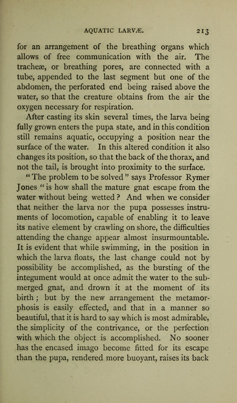 for an arrangement of the breathing organs which allows of free communication with the air. The tracheae, or breathing pores, are connected with a tube, appended to the last segment but one of the abdomen, the perforated end being raised above the water, so that the creature obtains from the air the oxygen necessary for respiration. After casting its skin several times, the larva being fully grown enters the pupa state, and in this condition still remains aquatic, occupying a position near the surface of the water. In this altered condition it also changes its position, so that the back of the thorax, and not the tail, is brought into proximity to the surface. “ The problem to be solved ” says Professor Rymer Jones “is how shall the mature gnat escape from the water without being wetted ? And when we consider that neither the larva nor the pupa possesses instru- ments of locomotion, capable of enabling it to leave its native element by crawling on shore, the difficulties attending the change appear almost insurmountable. It is evident that while swimming, in the position in which the larva floats, the last change could not by possibility be accomplished, as the bursting of the integument would at once admit the water to the sub- merged gnat, and drown it at the moment of its birth; but by the new arrangement the metamor- phosis is easily effected, and that in a manner so beautiful, that it is hard to say which is most admirable, the simplicity of the contrivance, or the perfection with which the object is accomplished. No sooner has the encased imago become fitted for its escape than the pupa, rendered more buoyant, raises its back