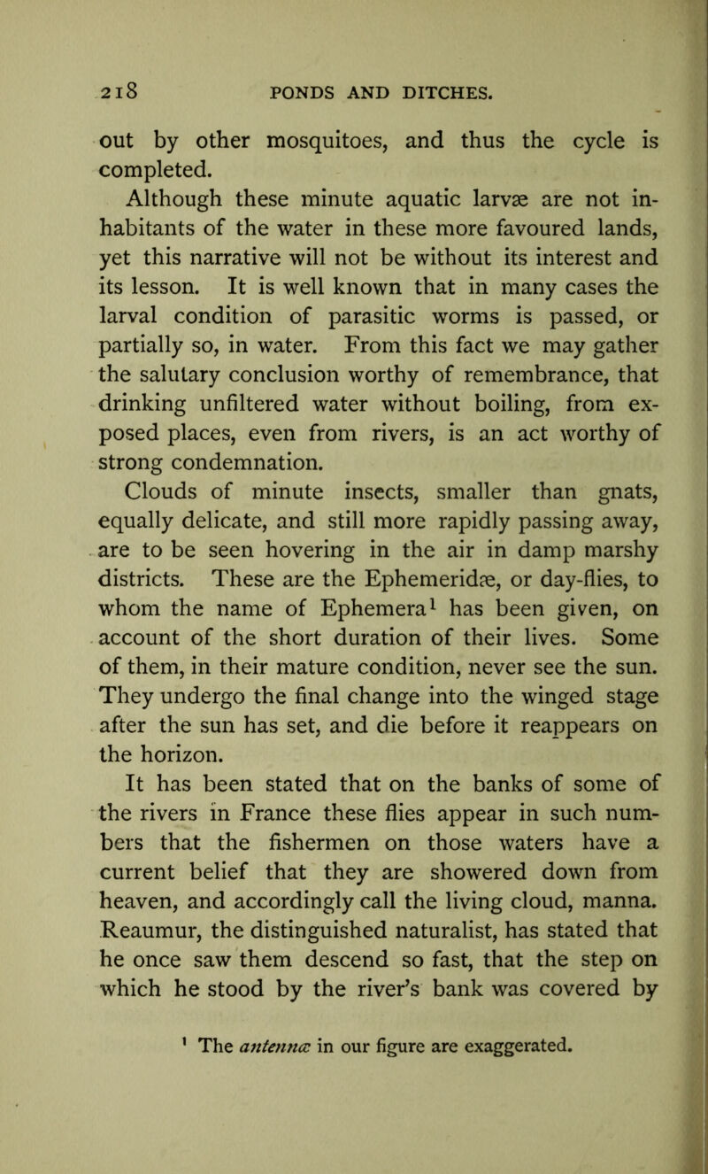 out by other mosquitoes, and thus the cycle is completed. Although these minute aquatic larvae are not in- habitants of the water in these more favoured lands, yet this narrative will not be without its interest and its lesson. It is well known that in many cases the larval condition of parasitic worms is passed, or partially so, in water. From this fact we may gather the salutary conclusion worthy of remembrance, that drinking unfiltered water without boiling, from ex- posed places, even from rivers, is an act worthy of strong condemnation. Clouds of minute insects, smaller than gnats, equally delicate, and still more rapidly passing away, are to be seen hovering in the air in damp marshy districts. These are the Ephemerid?e, or day-flies, to whom the name of Ephemera1 has been given, on account of the short duration of their lives. Some of them, in their mature condition, never see the sun. They undergo the final change into the winged stage after the sun has set, and die before it reappears on the horizon. It has been stated that on the banks of some of the rivers in France these flies appear in such num- bers that the fishermen on those waters have a current belief that they are showered down from heaven, and accordingly call the living cloud, manna. Reaumur, the distinguished naturalist, has stated that he once saw them descend so fast, that the step on which he stood by the river’s bank was covered by 1 The antenna in our figure are exaggerated.