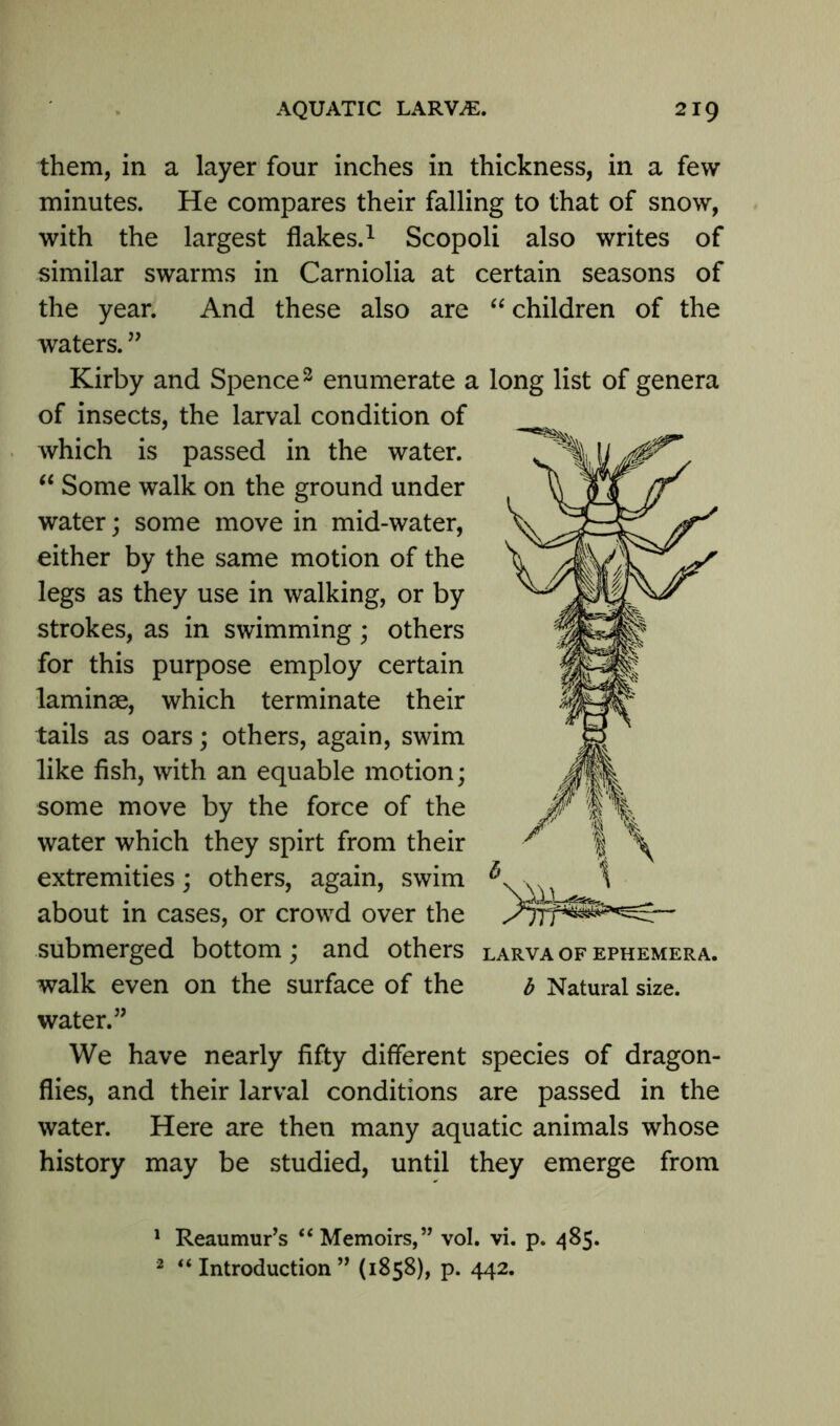 them, in a layer four inches in thickness, in a few minutes. He compares their falling to that of snow, with the largest flakes.1 Scopoli also writes of similar swarms in Carniolia at certain seasons of the year. And these also are “ children of the waters. ” Kirby and Spence2 enumerate a long list of genera of insects, the larval condition of which is passed in the water. “ Some walk on the ground under water; some move in mid-water, either by the same motion of the legs as they use in walking, or by strokes, as in swimming; others for this purpose employ certain laminae, which terminate their tails as oars; others, again, swim like fish, with an equable motion; some move by the force of the water which they spirt from their extremities; others, again, swim 5 about in cases, or crowd over the submerged bottom; and others larva of ephemera. walk even on the surface of the b Natural size, water.” We have nearly fifty different species of dragon- flies, and their larval conditions are passed in the water. Here are then many aquatic animals whose history may be studied, until they emerge from 1 Reaumur’s *'c Memoirs, ” vol. vi. p. 485. 2 “ Introduction ” (1858), p. 442.