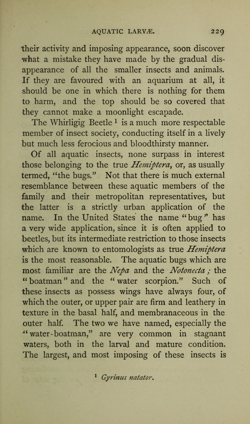 their activity and imposing appearance, soon discover what a mistake they have made by the gradual dis- appearance of all the smaller insects and animals. If they are favoured with an aquarium at all, it should be one in which there is nothing for them to harm, and the top should be so covered that they cannot make a moonlight escapade. The Whirligig Beetle 1 is a much more respectable member of insect society, conducting itself in a lively but much less ferocious and bloodthirsty manner. Of all aquatic insects, none surpass in interest those belonging to the true Hemiptera, or, as usually termed, “the bugs.” Not that there is much external resemblance between these aquatic members of the family and their metropolitan representatives, but the latter is a strictly urban application of the name. In the United States the name “bug” has a very wide application, since it is often applied to beetles, but its intermediate restriction to those insects which are known to entomologists as true Hemiptera is the most reasonable. The aquatic bugs which are most familiar are the Nepa and the Notonecta; the “boatman” and the “water scorpion.” Such of these insects as possess wings have always four, of which the outer, or upper pair are firm and leathery in texture in the basal half, and membranaceous in the outer half. The two we have named, especially the water -boatman,” are very common in stagnant waters, both in the larval and mature condition. The largest, and most imposing of these insects is Gyrinus natator.