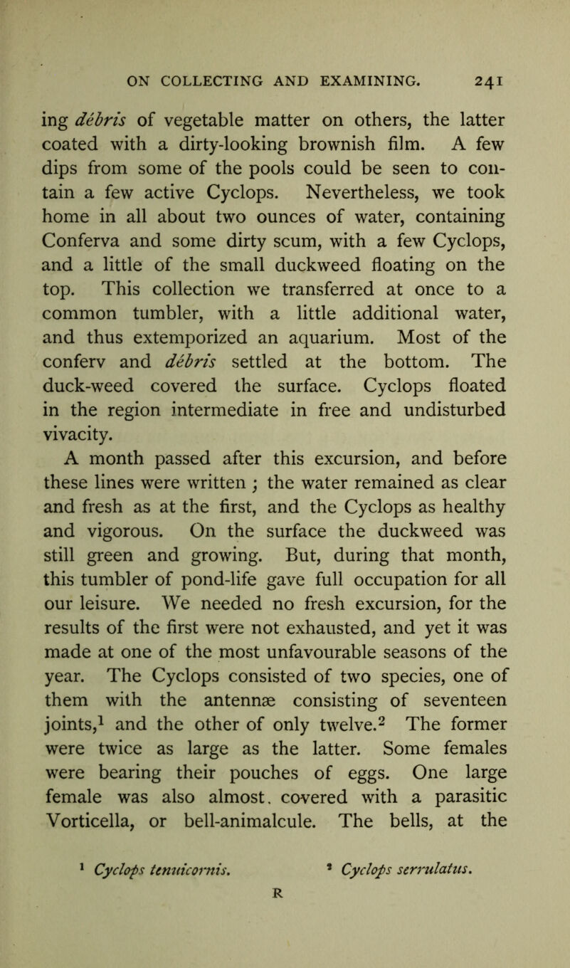 ing debris of vegetable matter on others, the latter coated with a dirty-looking brownish film. A few dips from some of the pools could be seen to con- tain a few active Cyclops. Nevertheless, we took home in all about two ounces of water, containing Conferva and some dirty scum, with a few Cyclops, and a little of the small duckweed floating on the top. This collection we transferred at once to a common tumbler, with a little additional water, and thus extemporized an aquarium. Most of the conferv and debris settled at the bottom. The duck-weed covered the surface. Cyclops floated in the region intermediate in free and undisturbed vivacity. A month passed after this excursion, and before these lines were written ; the water remained as clear and fresh as at the first, and the Cyclops as healthy and vigorous. On the surface the duckweed was still green and growing. But, during that month, this tumbler of pond-life gave full occupation for all our leisure. We needed no fresh excursion, for the results of the first were not exhausted, and yet it was made at one of the most unfavourable seasons of the year. The Cyclops consisted of two species, one of them with the antennae consisting of seventeen joints,1 and the other of only twelve.2 The former were twice as large as the latter. Some females were bearing their pouches of eggs. One large female was also almost, covered with a parasitic Vorticella, or bell-animalcule. The bells, at the Cyclops tcnuicornis. R 3 Cyclops scrrulatus.