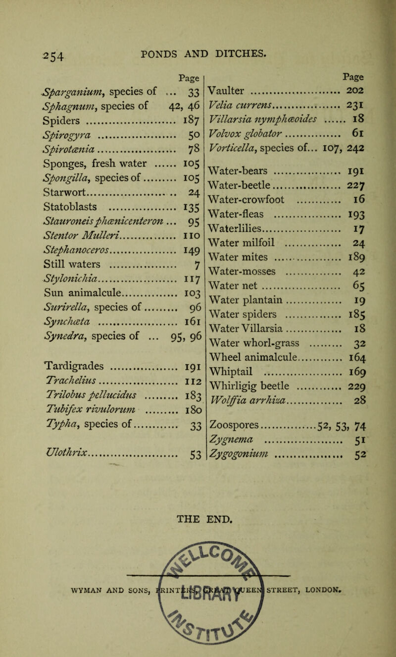 Page Sparganiu?n, species of <.. 33 Sphagnum, species of 42, 46 Spiders 187 Spirogyra 5° Spirotoenia 78 Sponges, fresh water 105 Spongilla, species of 105 Star wort 24 Statoblasts 135 Stauroneis phcenic enter on ... 95 Stent or Mulleri no Stephanoceros 149 Still waters 7 Stylonichia 117 Sun animalcule 103 Surirella, species of 96 Synchceta 161 Synedra, species of ... 95, 96 Tardigrades 191 Trachelius 112 Trilobus pellucidus 183 Tubifex rivulorum 180 Typha, species of 33 Ulothrix 53 Page Vaulter 202 Velia currens 231 Villarsia nymphoeoides 18 Volvox globator 61 Vorticella, species of... 107, 242 Water-bears 191 Water-beetle 227 Water-crowfoot 16 Water-fleas 193 Waterlilies 17 Water milfoil 24 Water mites 189 Water-mosses 42 Water net 65 Water plantain 19 Water spiders 185 Water Villarsia 18 Water whorl-grass 32 Wheel animalcule 164 Whiptail 169 Whirligig beetle 229 Wolffia arrhiza 28 Zoospores 52, 53, 74 Zygnema 51 Zygogonium 52 THE END.