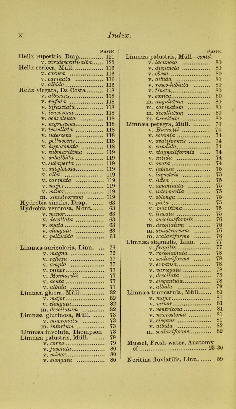 PAGE Helix rupestris, Drap 121 v. viridescenti-alba 122 Helix sericea, Mull 116 v. cornea 116 v. carinata 116 v. albida 116 Helix virgata, Da Costa 118 v. albicans 118 v. rufula 118 v. bifasciata 118 v. leucozona 118 v. ochroleuca 118 v. nigrescens 118 v. tessellata 118 v. lutescens 118 v. pelluscens 118 v. hypozonata 118 v. submaritima 119 v. subalbida 119 v. subaperta 119 v. subglobosa 119 v. alba 119 v. carinata 119 v. major 119 v. minor 119 ra. sinistrorsum 119 Hydrobia similis, Drap 63 Hydrobia ventrosa, Mont 63 v. minor 63 v. decollata 63 v. ovata 63 v. elongata 63 v. pellucida 63 Limnsea auricularia, Linn. ... 76 v. magna 76 v. rejlexa 77 v. ampla 77 v. minor 77 v. Monnardii 77 v. acuta 77 v. albida 77 Limnsea glabra, Miill 82 v. major 82 v. elongata 82 m. decollatum 82 Limnsea glutinosa, Mull 73 v. mucronata 73 m. intortum 73 Limnsea involuta, Thompson 73 Limiusea palustris, Miill 79 v. corva 79 v.fasciata 80 v. minor 80 v. elongata 80 PAGE Limnsea palustris, Miill—contd. v. lacunosa 80 v. disjuncta 80 v. obesa 80 v. albida 80 v. roseo-labiata 80 v. tincta 80 v. conica 80 m. angulatum 80 m. carinatum 80 m. decollatum 80 m. turritum 80 Limnsea peregra, Miill 73 v. Burnetti 74 v. solemia 74 v. ovaliformis 74 v. Candida 74 v. stagnaliformis 74 v. nitida 74 v. ovata 74 v. labiosa 75 v. lacustris 75 v. hdtea 75 v. acuminata 75 v. intermedia 75 v. oblonga 75 v. picta 75 v. maritima 75 v. lineata 75 v. succineeformis 76 m. decollatum 76 m. sinistrorsum 76 m. scalariforme 76 Limnsea stagnalis, Linn 77 v.fragilis 77 v. roseolabiata 78 v. scalariforme 78 v. expansa 78 v. variegata 78 v. decollata 78 v. elegantula 78 v. albida 79 Limnsea truncatula, Miill 81 v. major 81 v. minor 81 v. ventricosa 81 v. microstoma 81 v. elegans 81 v. albida 82 m. scalariforme 82 Mussel, Fresh-water, Anatomy of 23-30 Neritina fluviatilis, Linn 59